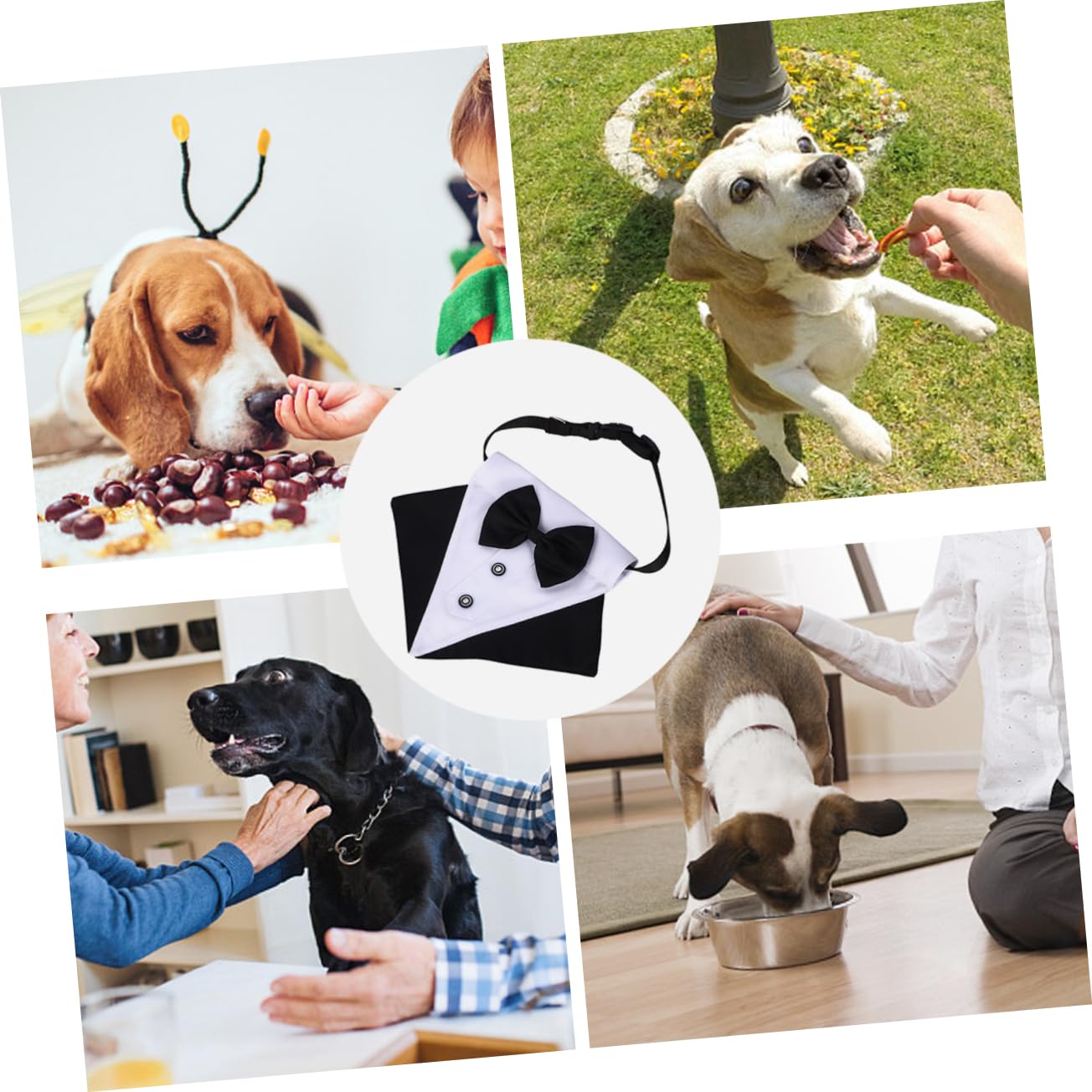 BESPORTBLE 3ensembles Bandana Triangulaire Adorable pour Chien Écharpe De Mode Accessoire Pratique pour Et Style Élégant avec Nœud