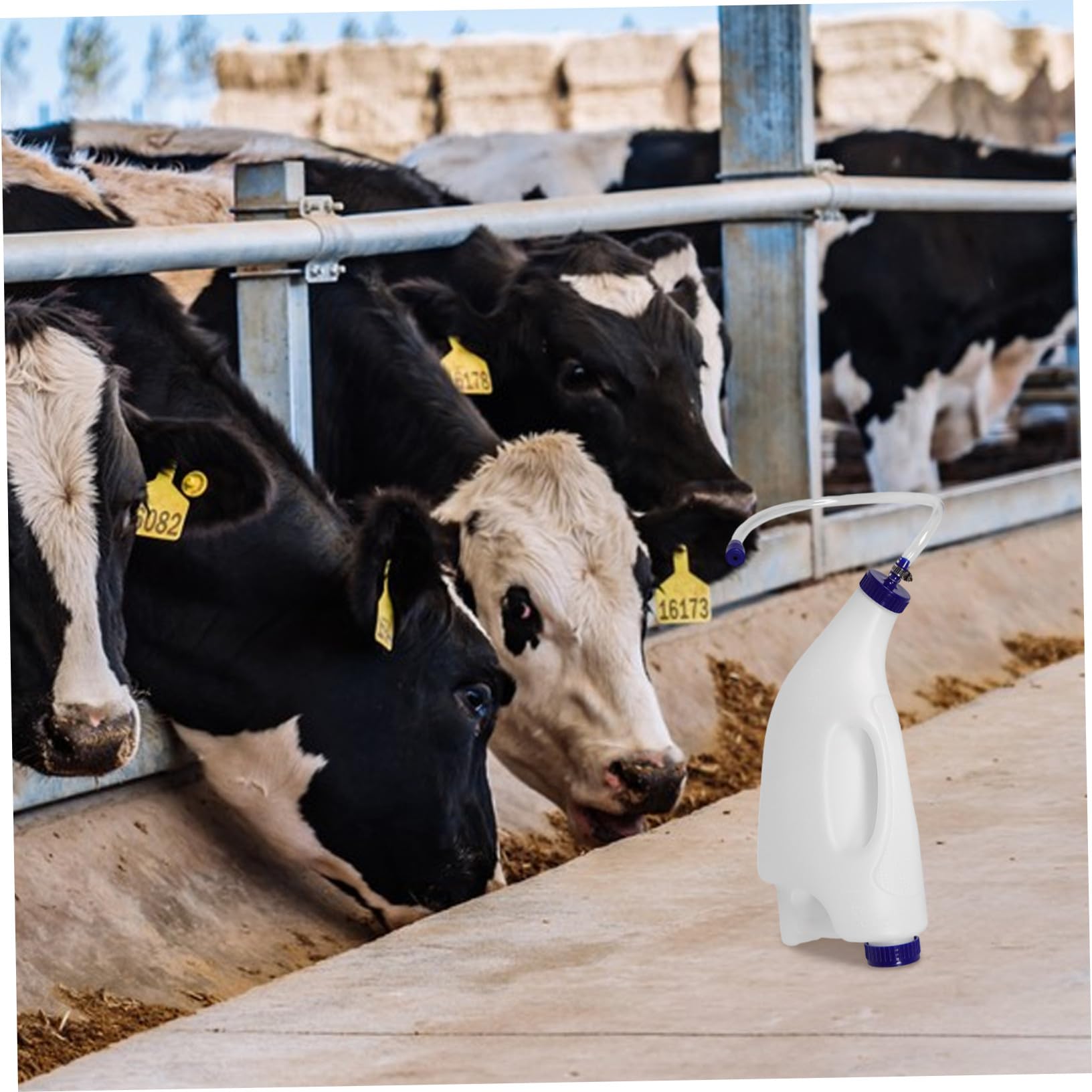 Toyvian Biberon Per Vitelli Biberon Portatile Per Alimentazione Del Latte Dei Vitelli Attrezzatura Per Alimentazione Di Piccoli Animali