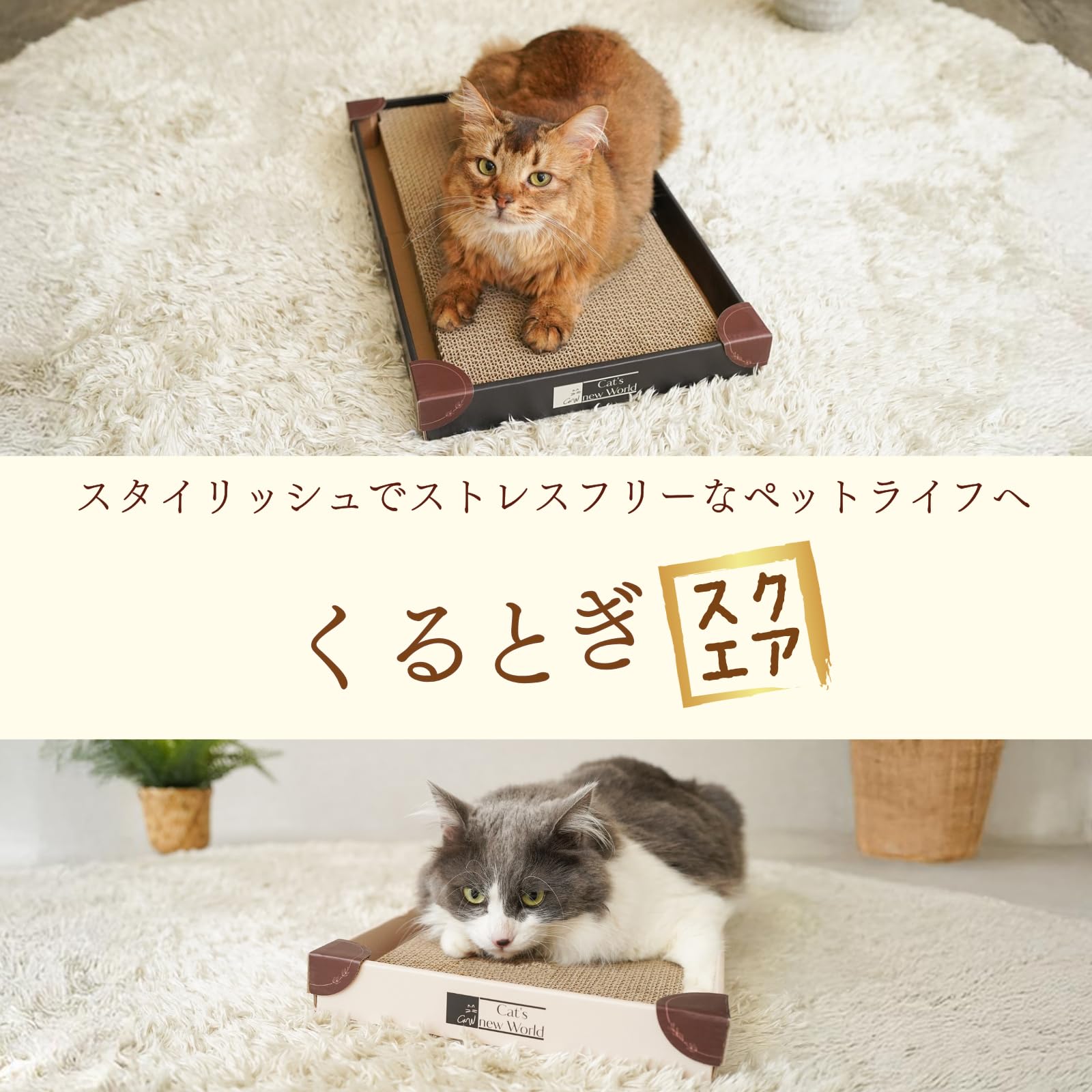 Cat's new World くるとぎスクエア猫の爪研ぎスタイリッシュデザイン Amazon | Cat's new World くるとぎスクエア 猫の爪研ぎ 360°くるっと