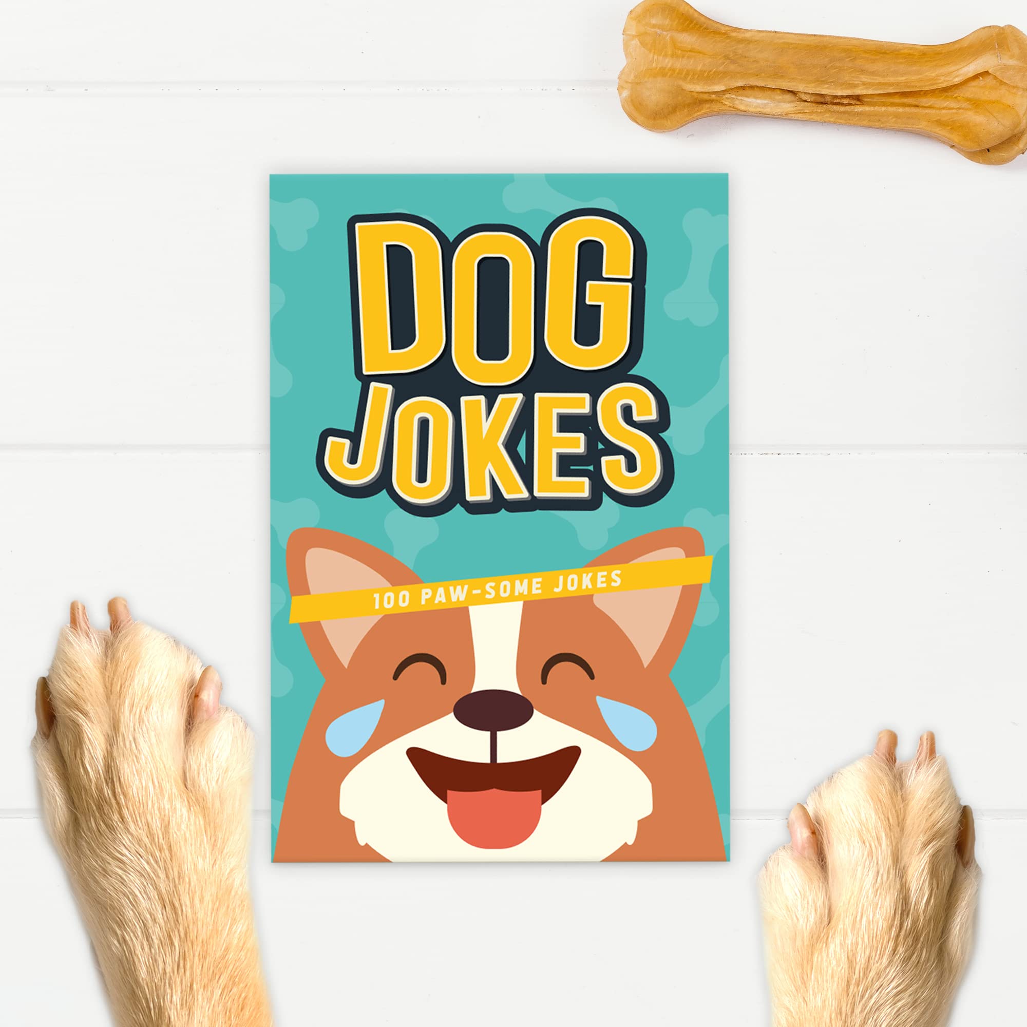 Gift Republic GR820012 Dog Jokes Card Pack, Blue