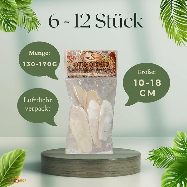 Tropic Boutique – Sépia Rigide la Source Calcium Naturelle 6 – Lot de 10 pour Tortues, pogonas, Oiseaux, etc. - 4