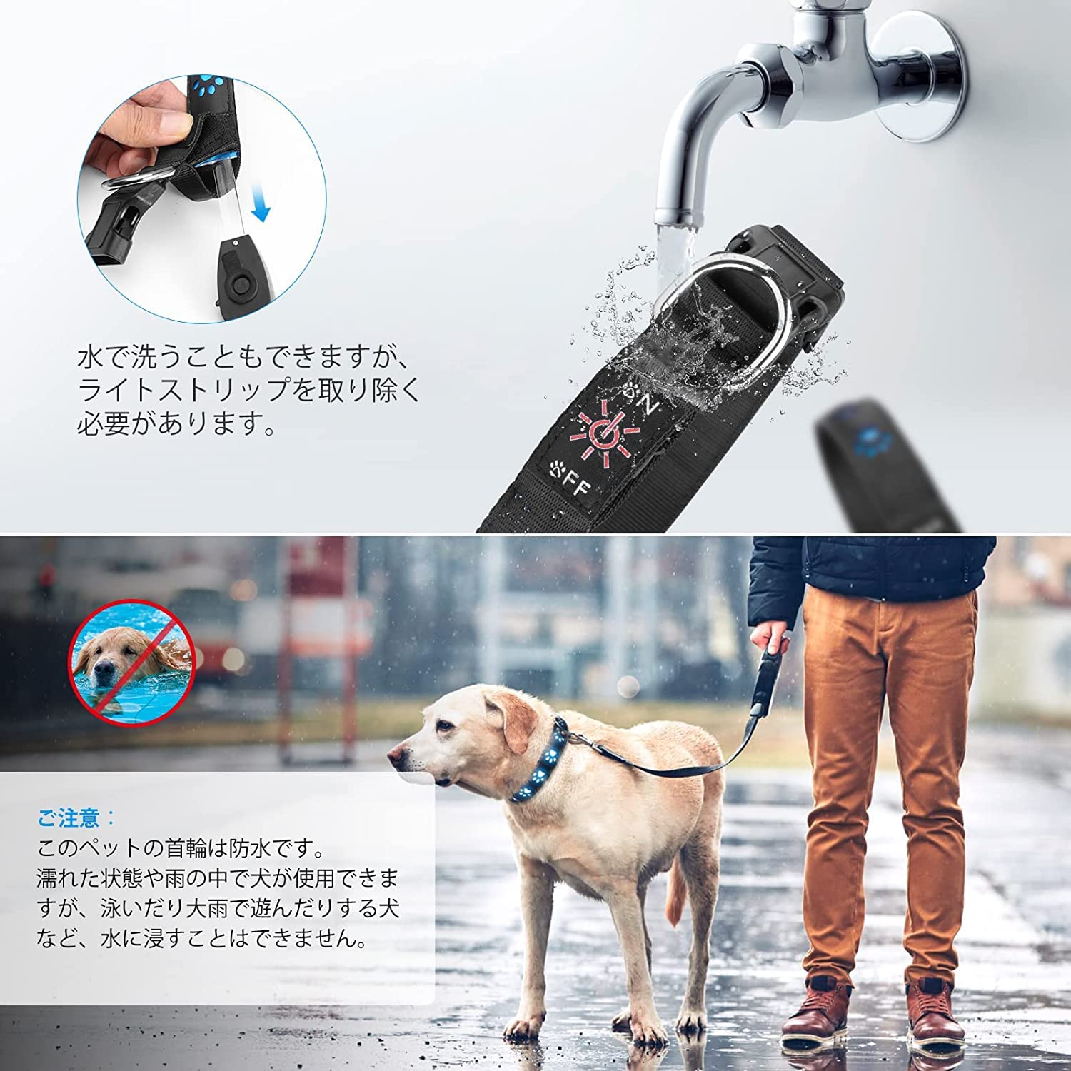 Amazon | ネス 犬首輪 犬の首輪 犬用訓練首輪 光る首輪 LED発光首輪 7