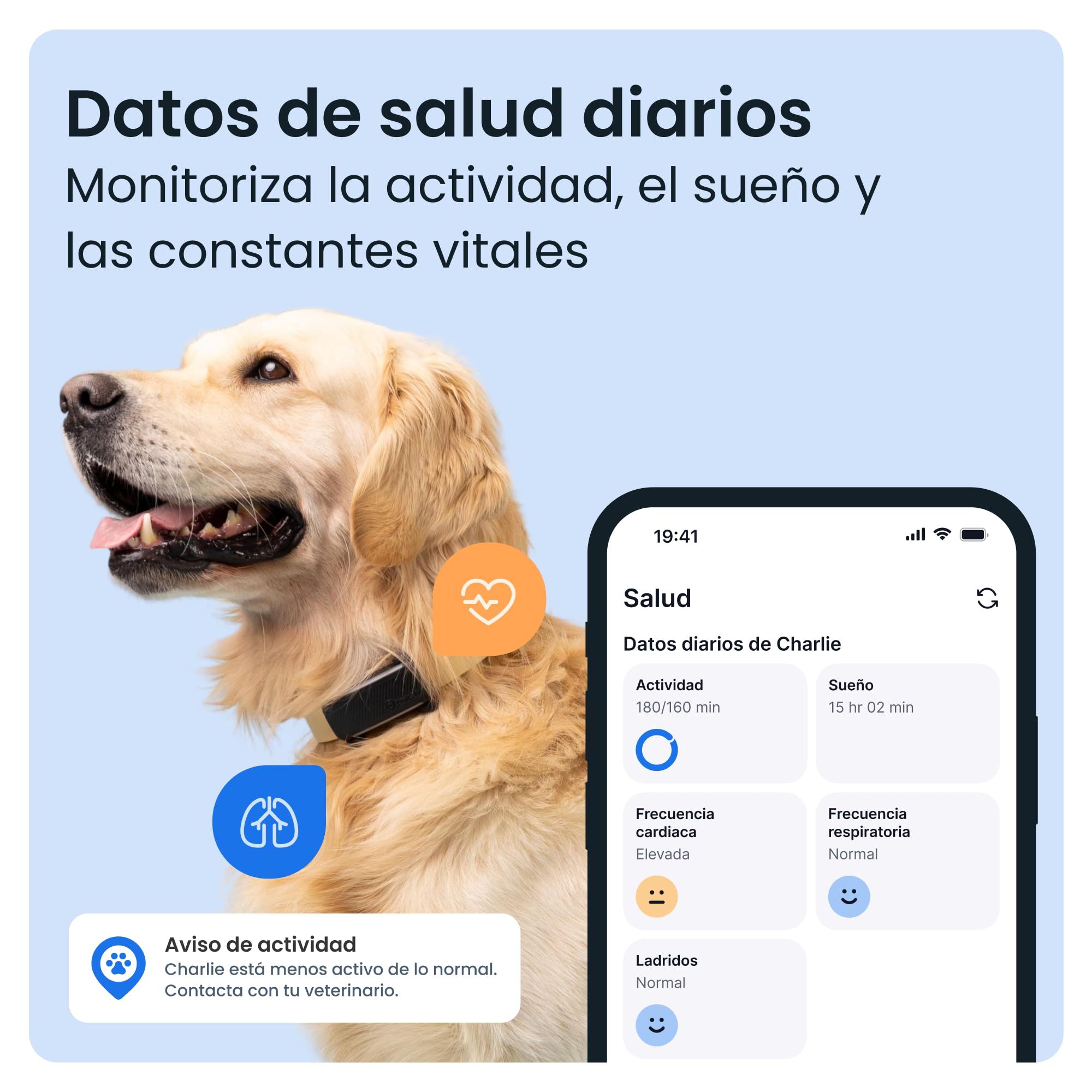 Tractive - GPS perros | 2025 Edición | N.º 1 del mercado | Localización en tiempo real | Alertas antifuga | Monitor de actividad | Avisos de salud | Seguimiento de ladridos (Negro)