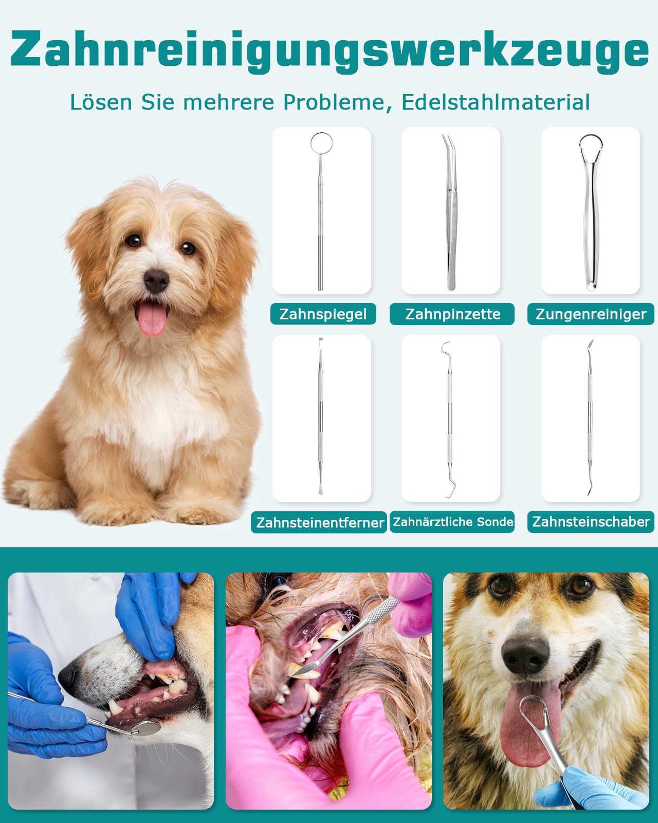 Kit de nettoyage dentaire à ultrasons pour chien et chat, Detartreur Dentaire Ultrason pour Chien et Chat, 5 modes de nettoyage et 4 têtes de nettoyage pour animaux de compagnie