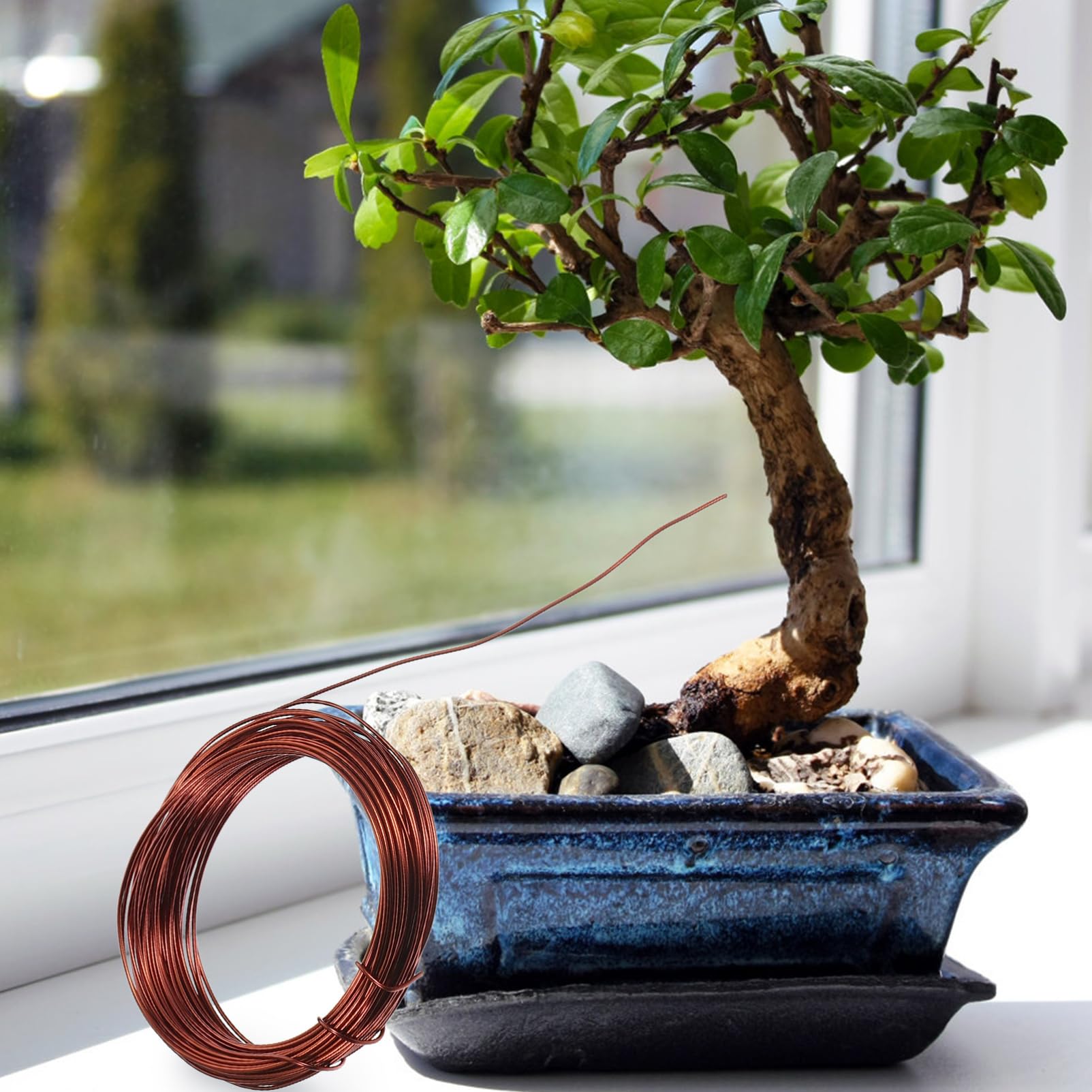 Kit Filo Per Bonsai In Alluminio - Filo Per Modellare Rami E Piante, Nero, Antiruggine, Per Giardinaggio - Foto 5