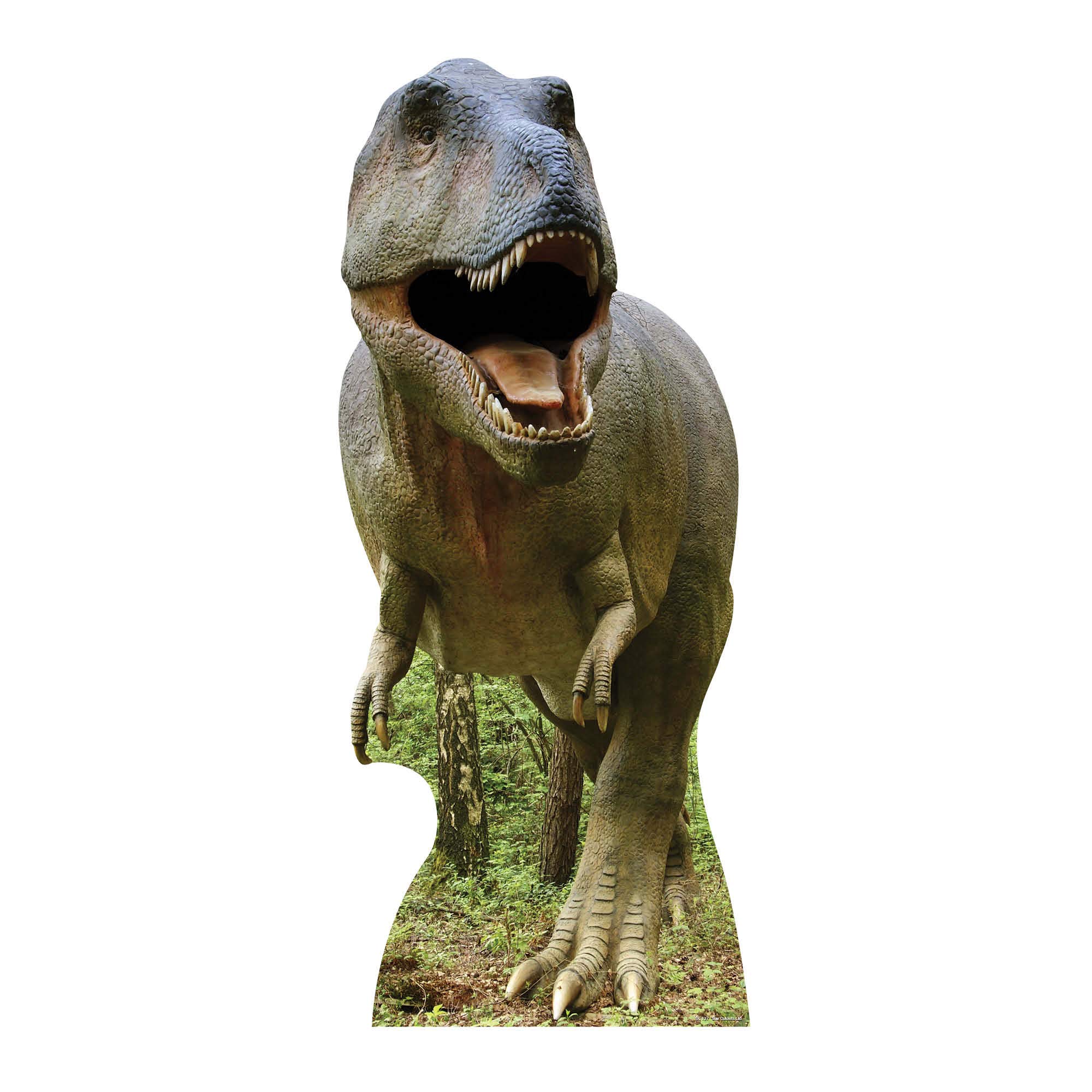 STAR CUTOUTS SC137 T-Rex Cardboard Cut Out