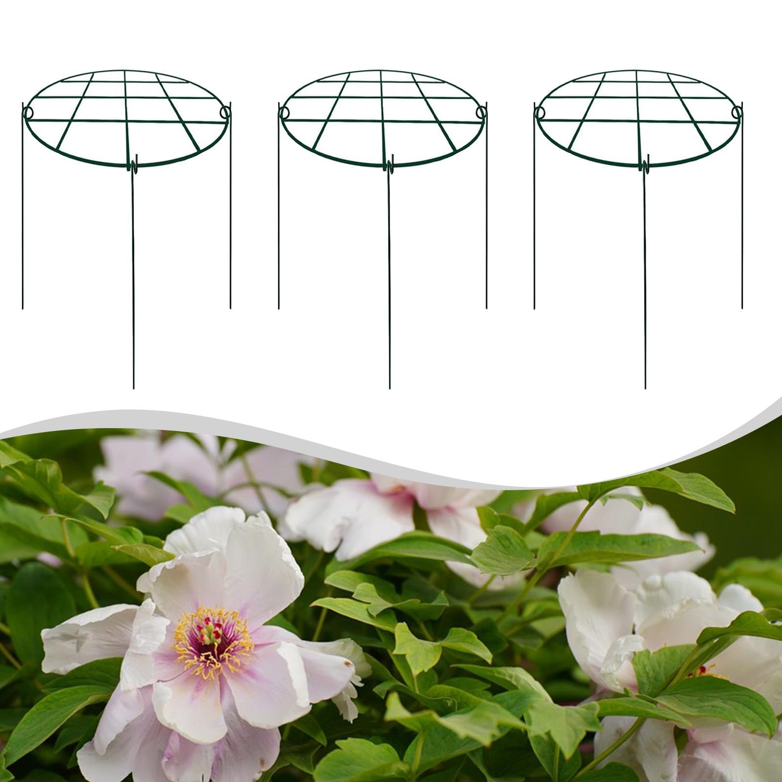 3 Pièces Tuteurs de Plantes Soutiens Métalliques pour Pivoines Armature pour Roses Cages Hydrangeas Installation Facile Convient à L'Utilisation Intér, 30x40 Cm