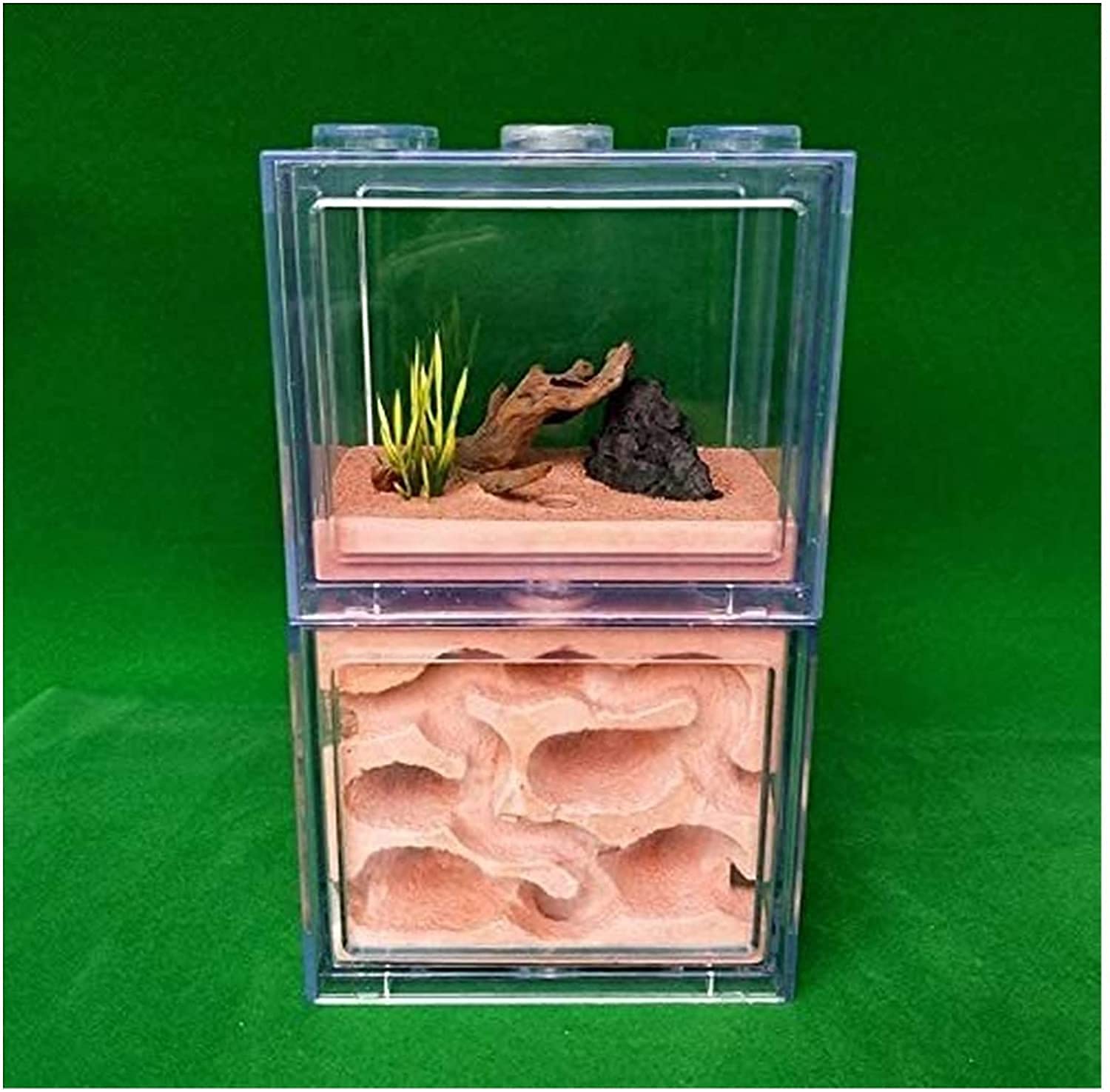 Formicaio Acrilico Trasparente Con Torre Dell'Acqua - Habitat Per Formiche Vive Con Accessori - Foto 2