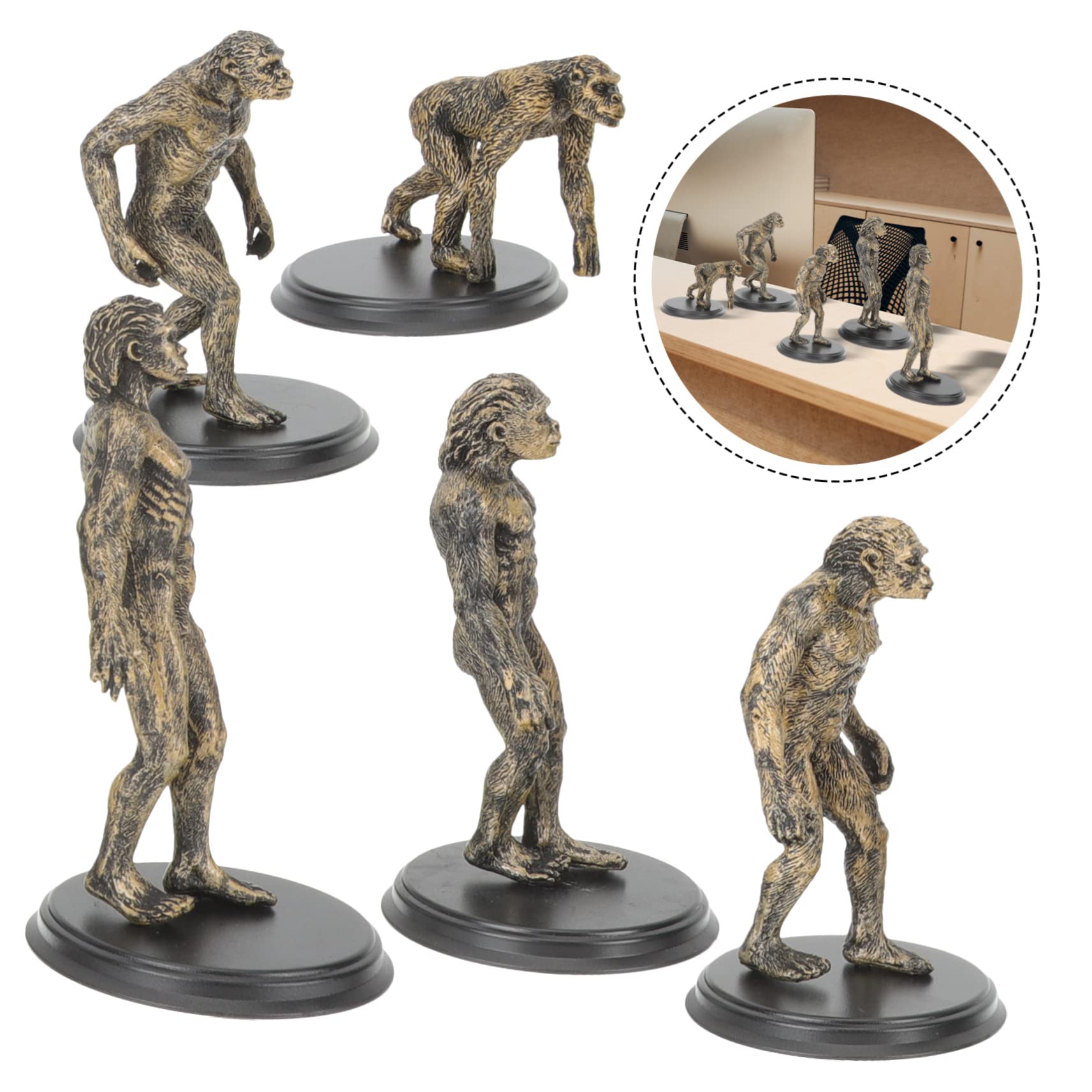 Amazon.co.jp: 1 セット 類人猿 進化 モデル 人間 原始的