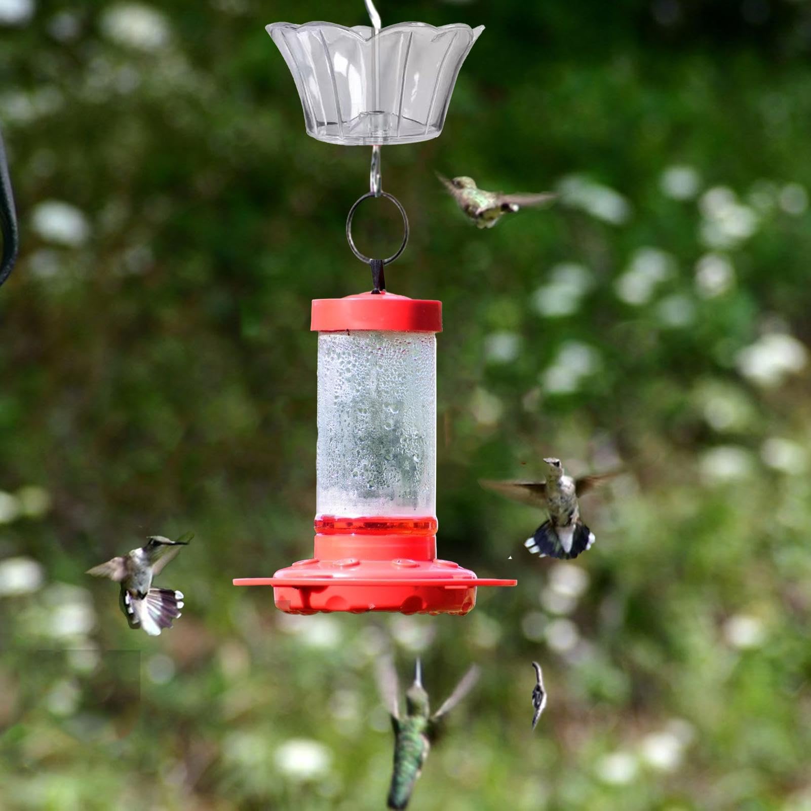 Grande Fossato Per Formiche Per Mangiatoia Per Colibrì, 4 - Foto 6