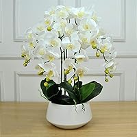 Vista 3 de SOSSEG Flores artificiales bonsái de orquídea artificial con jarrón arreglos florales orquídeas artificiales de seda para mesa sala de estar