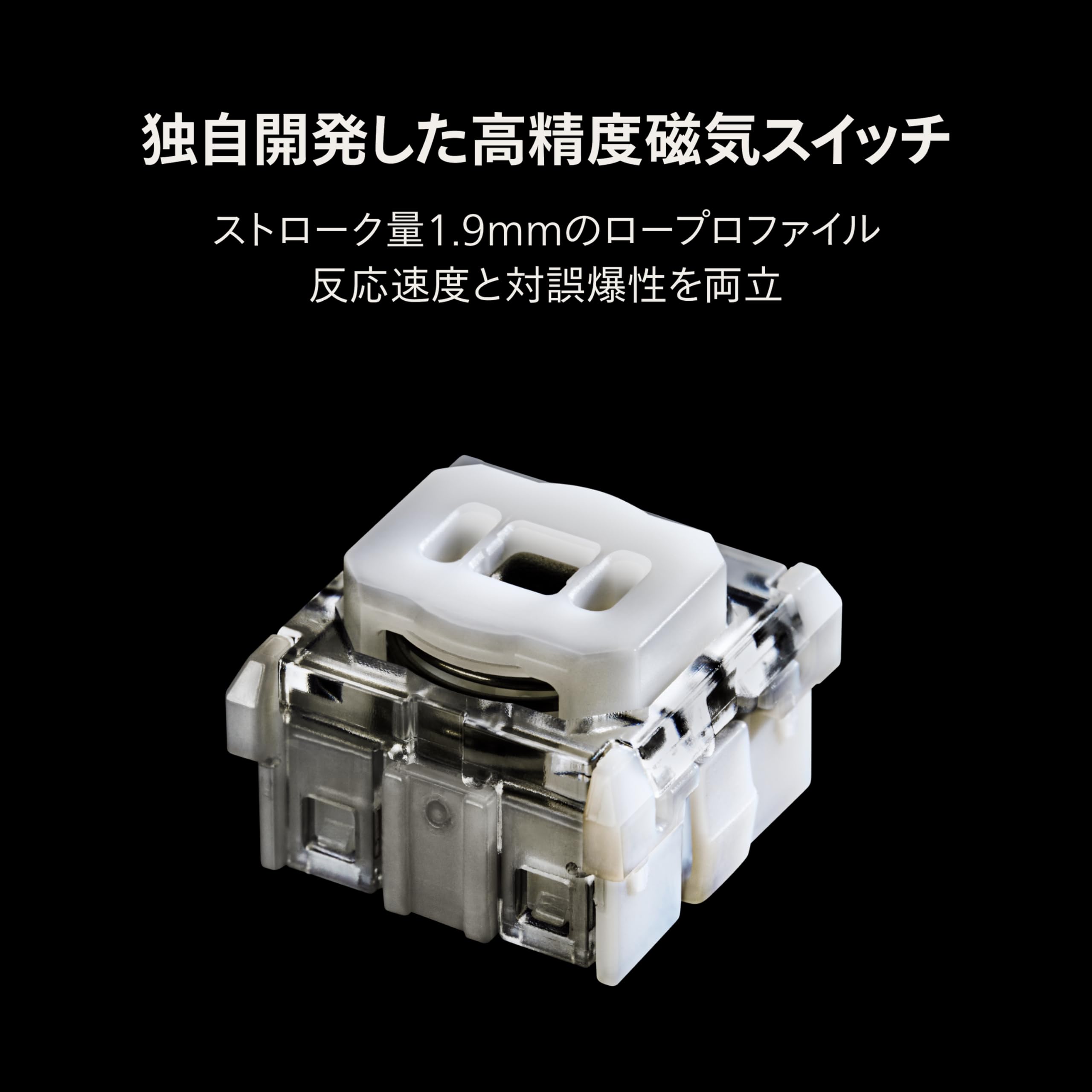 716l7A+iT5L.jpg