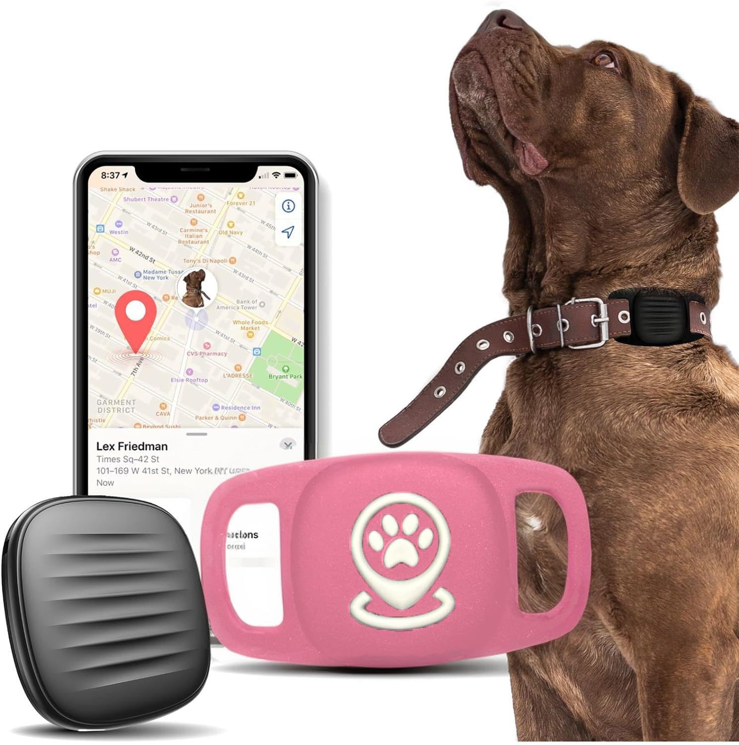 Smart Dog Collar GPS Tracker