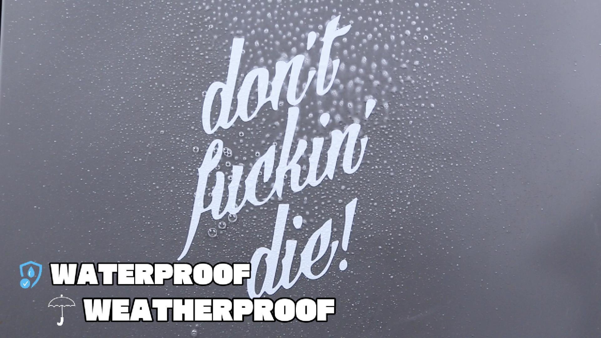 Amazon.com: Transparent Decal Stickers of Dont Fuckin Die (White