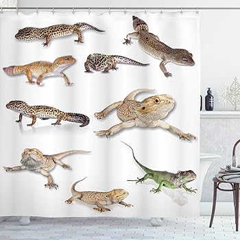 leopard gecko furniture