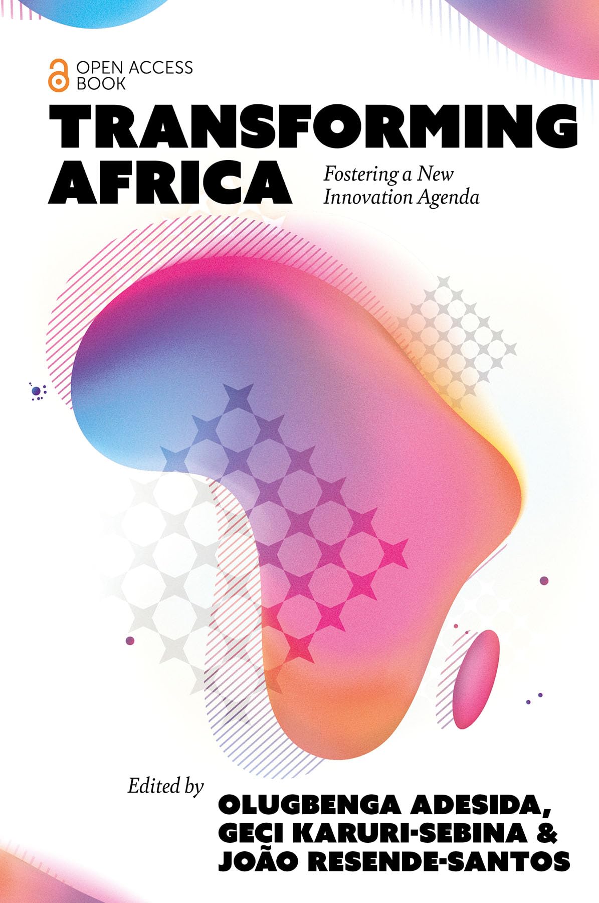 Transforming Africa Fostering a New Innovation Agenda (Paperback Book)
