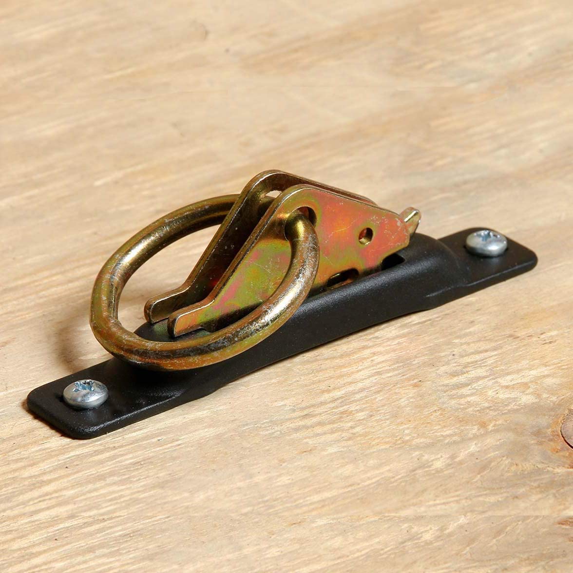 Buy Ten Heavy-Duty Steel E-Track O-Ring Tie-Down Anchors for E-Track ...