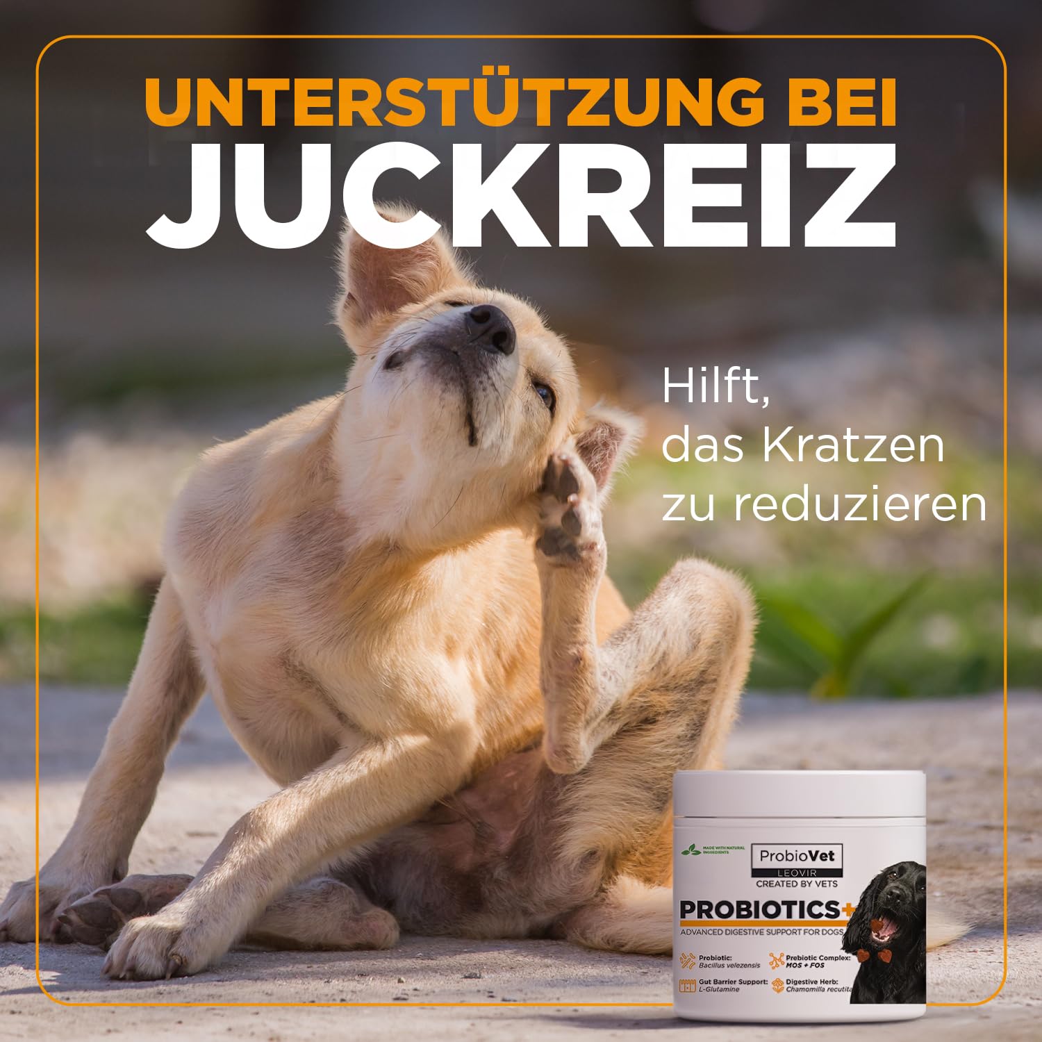 ProbioVet+ ANTI-PRURITO e Sollievo Leccamento Zampe - Stop al Grattamento - Probiotici Cani con Bacillus Velezensis e L-Glutammina - Salute Intestinale e Immunitaria - 60 Snack