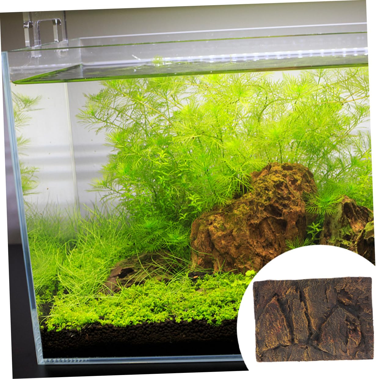 2 Pannelli Sfondo per Acquario Tartarughe in Materiale Pu 3d Altamente Realistico, Decorazione per Terrari Rettili, Adatto a Vasche per Tartarughe e Acquari di Piccoli Animali