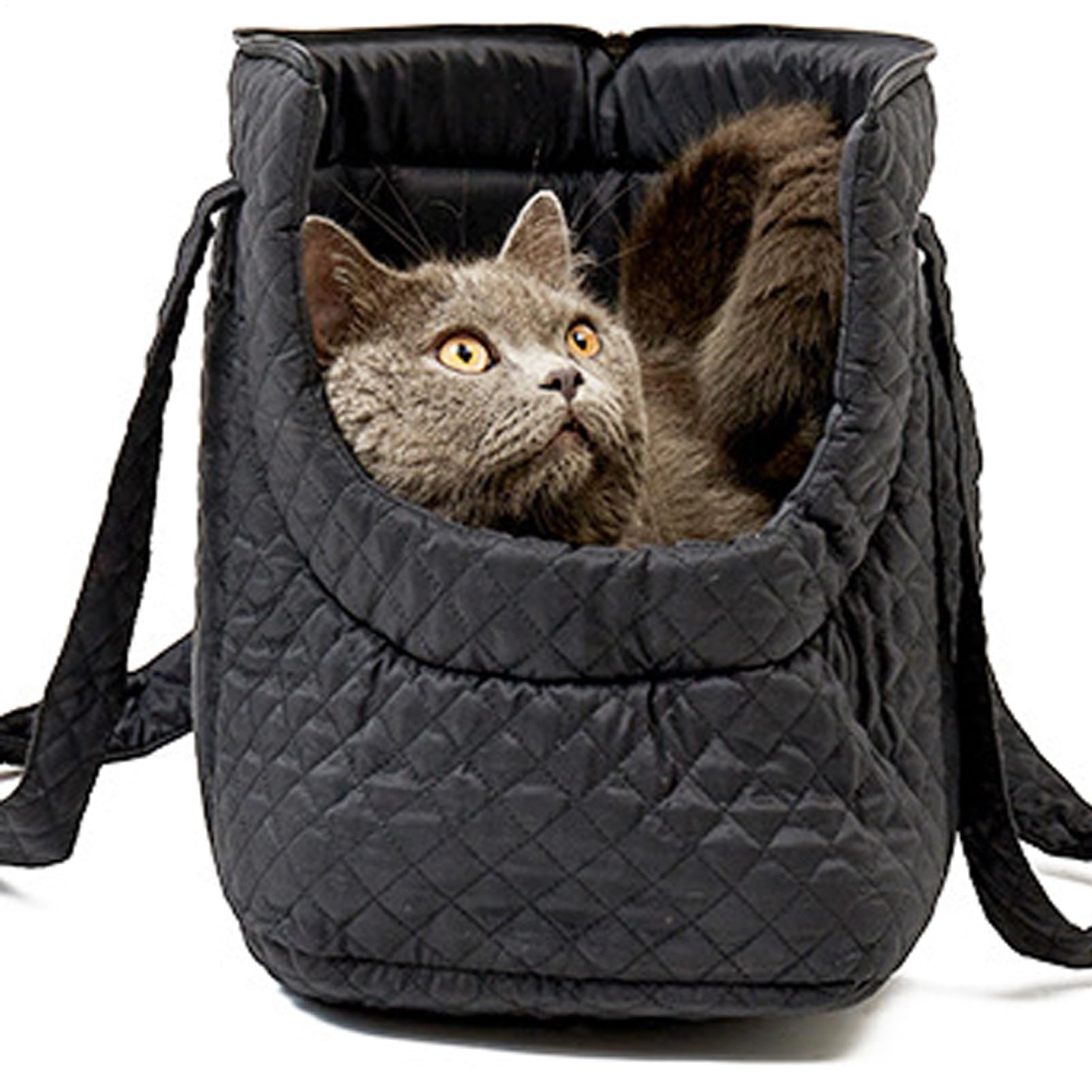 Porte-chat en coton pour petit chien sac de transport d'hiver léger Teksome