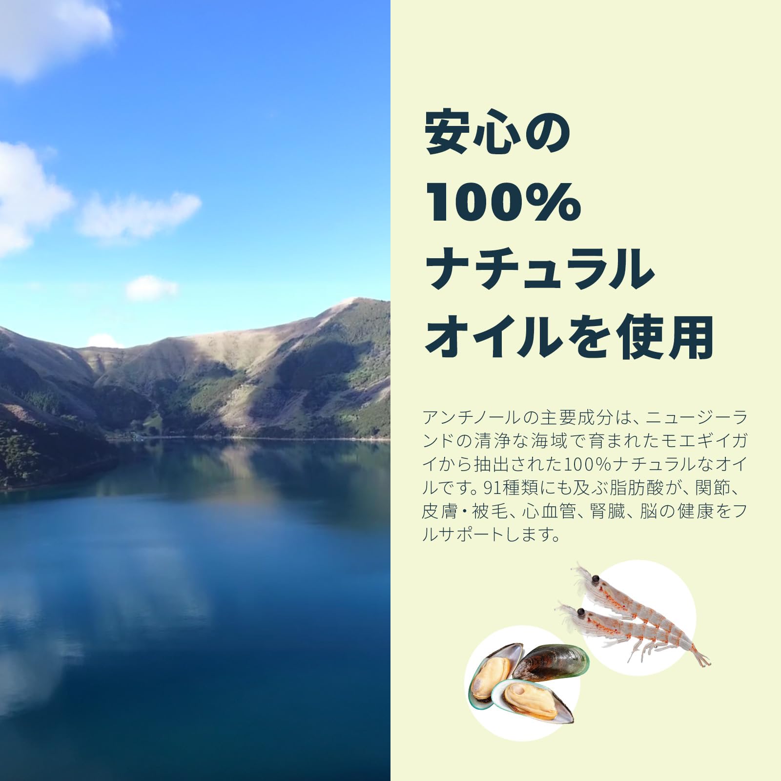 Amazon | 【動物病院推奨】【公式】アンチノール プラス 犬