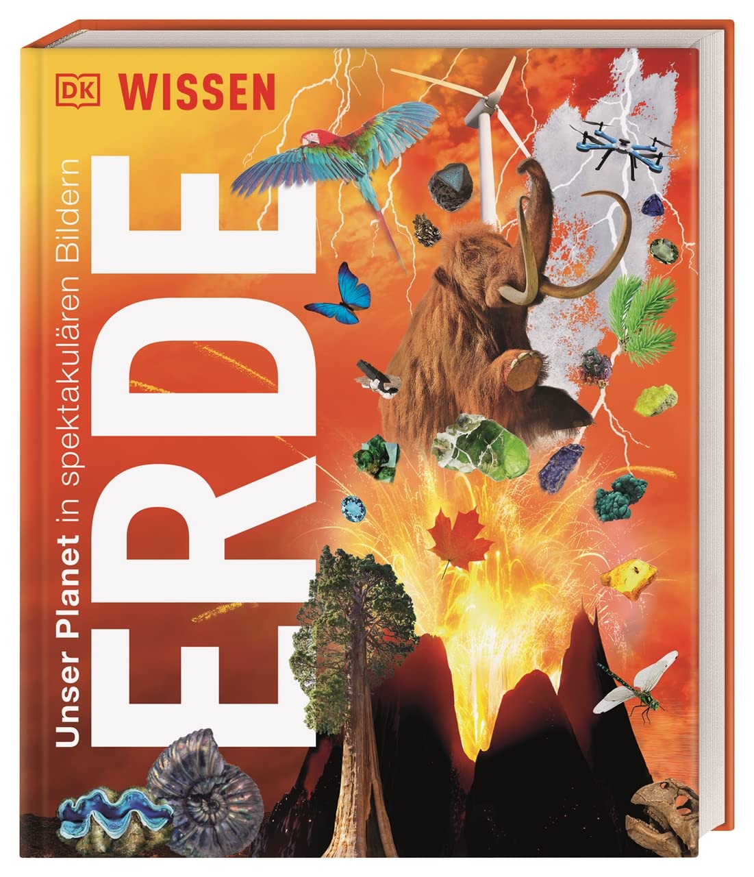 DK Wissen. Erde: Unser Planet in spektakulären Bildern. Für Kinder ab 8 Jahren