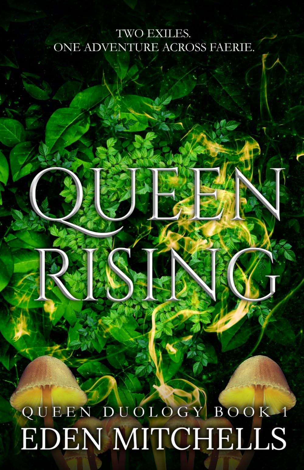 Queen Rising (Queen Duology Book 1): A Young Adult Fantasy