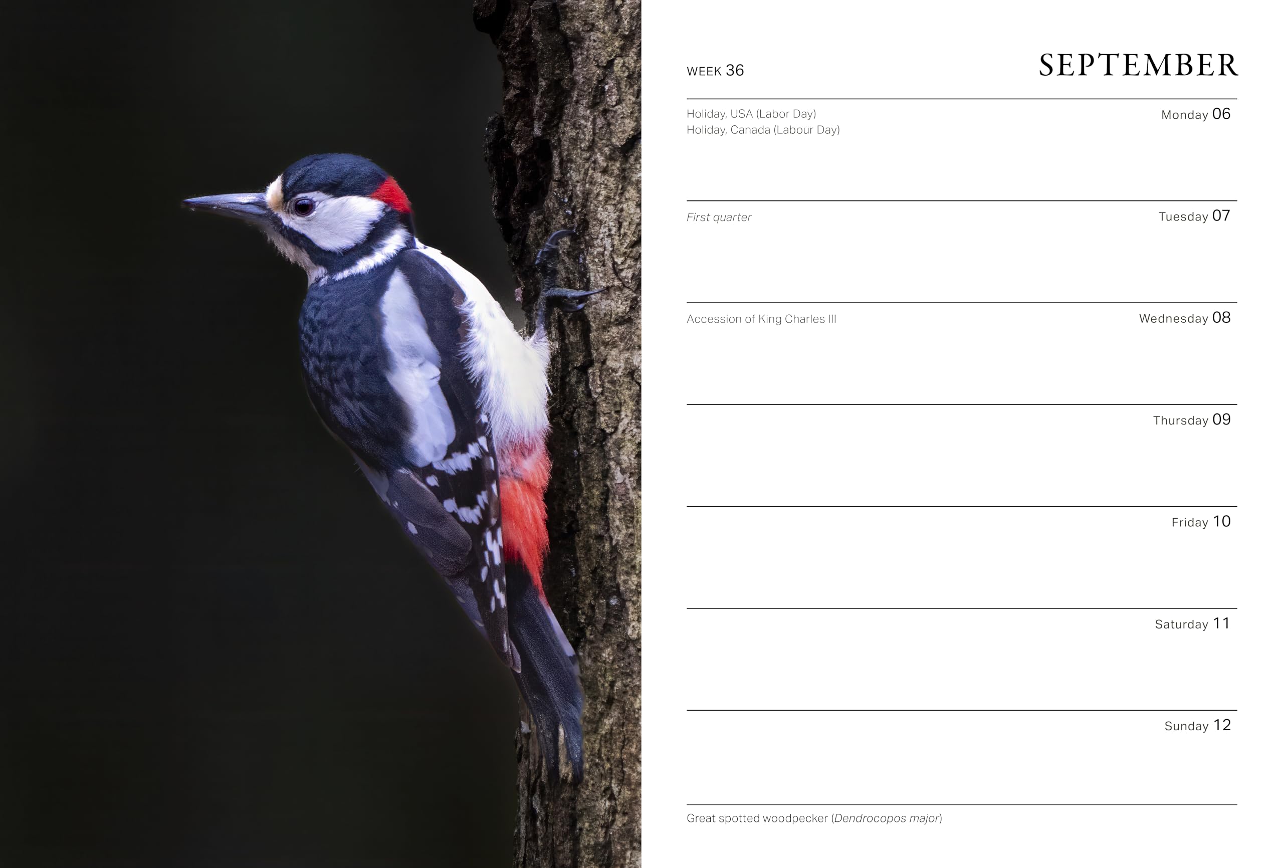RHS Wild in the Garden Diary 2027