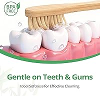 Vista 2 de GENKENT Cepillos de dientes de bambú, paquete de 12 cepillos de dientes naturales, sin BPA, cerdas suaves, cepillo de dientes ecológico de carbón