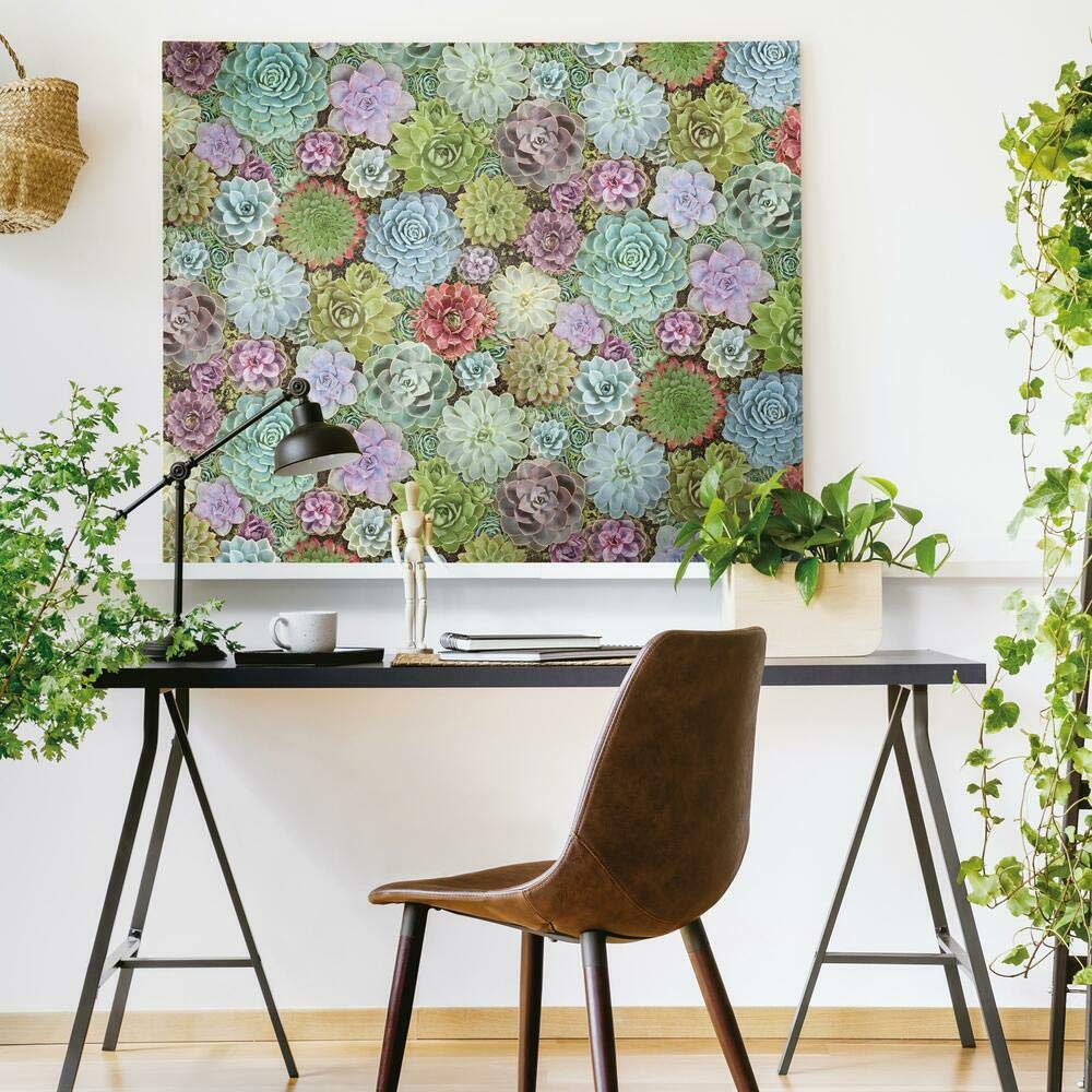 RoomMates RMK11249RL Colorful Succulents Peel and Stick Wallpaper, Green, 45.7 x 45.7 cm - Image 2