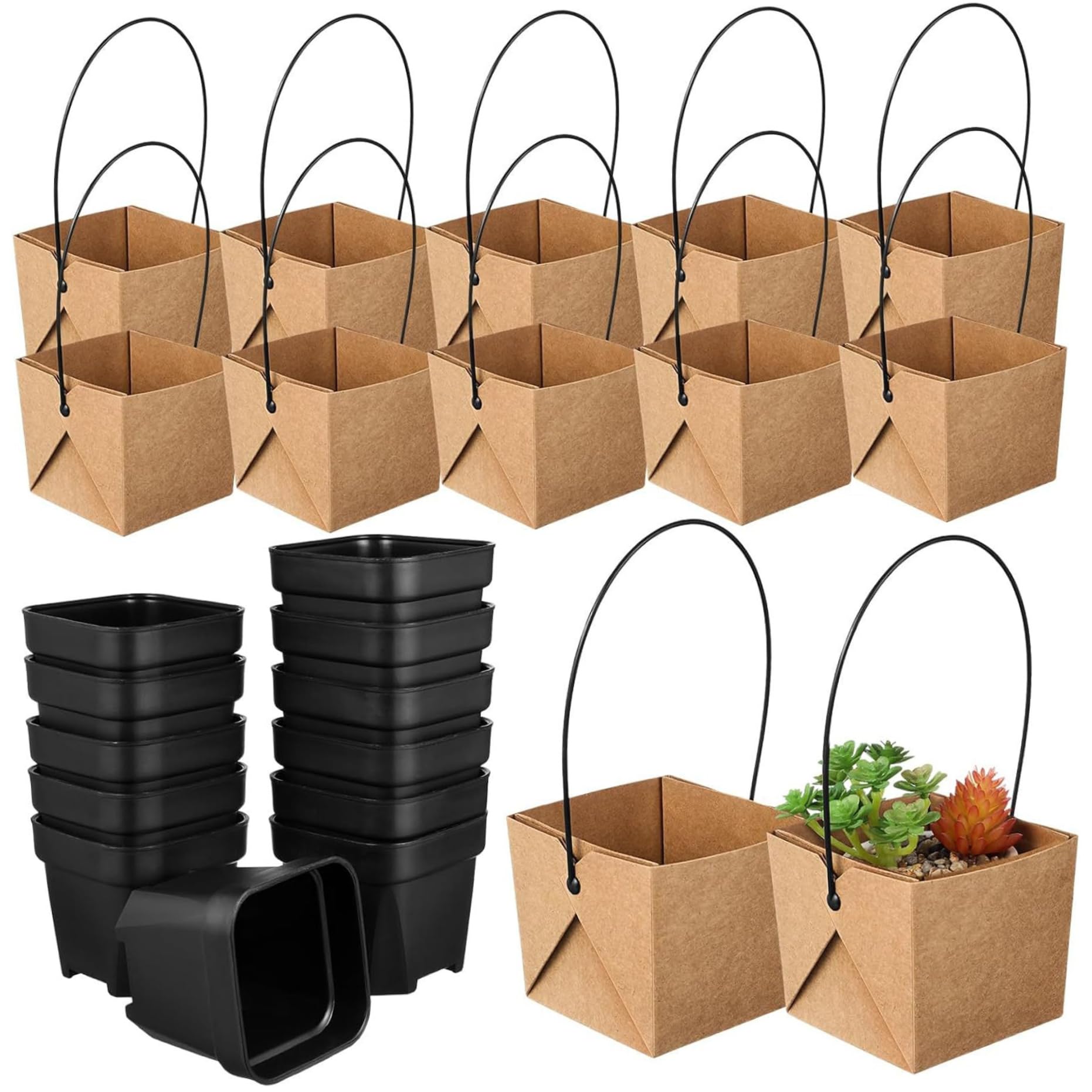Pots pour plantes succulentes : lot de 12 contenants carrés avec sacs en papier