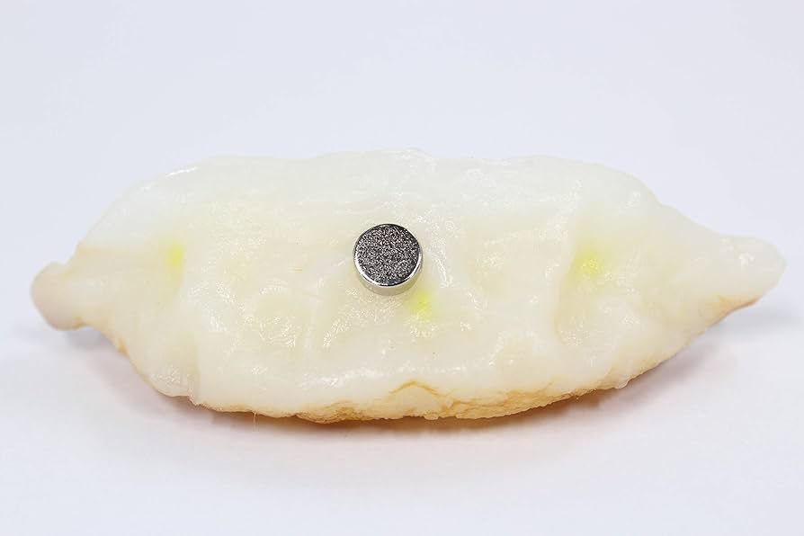 ぎょうざ、様 Amazon.co.jp: 食品サンプル 餃子 マグネット 雑貨 事務用品