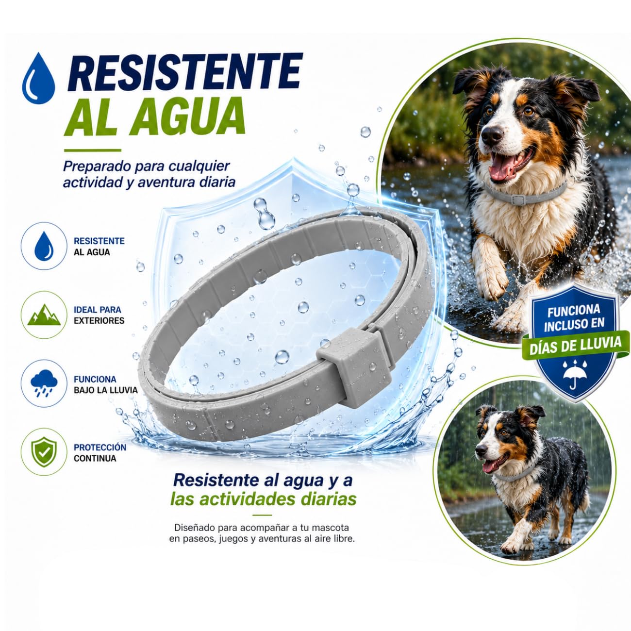 Collier antiparasitaire Chien - 8 Mois de Protection - Contre Les puces, tiques, moustiques, acariens et poux - 100% Naturelles (70 cm 1Unité)