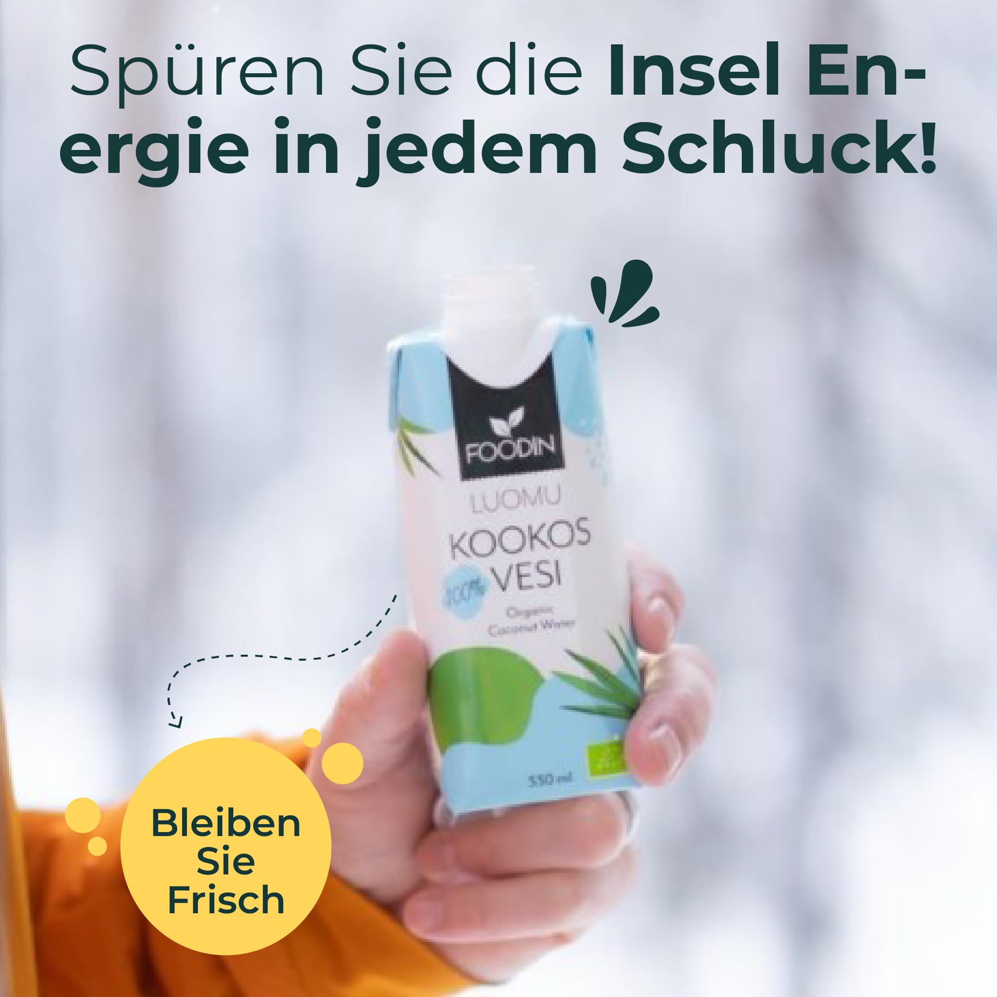 Foodin Bio-Kokoswasser – 100% natürliches Kokosnusswasser mit Elektrolyten – glutenfrei, kalorienarm, fettfrei, vegan – 12er Pack (12 x 330ml)