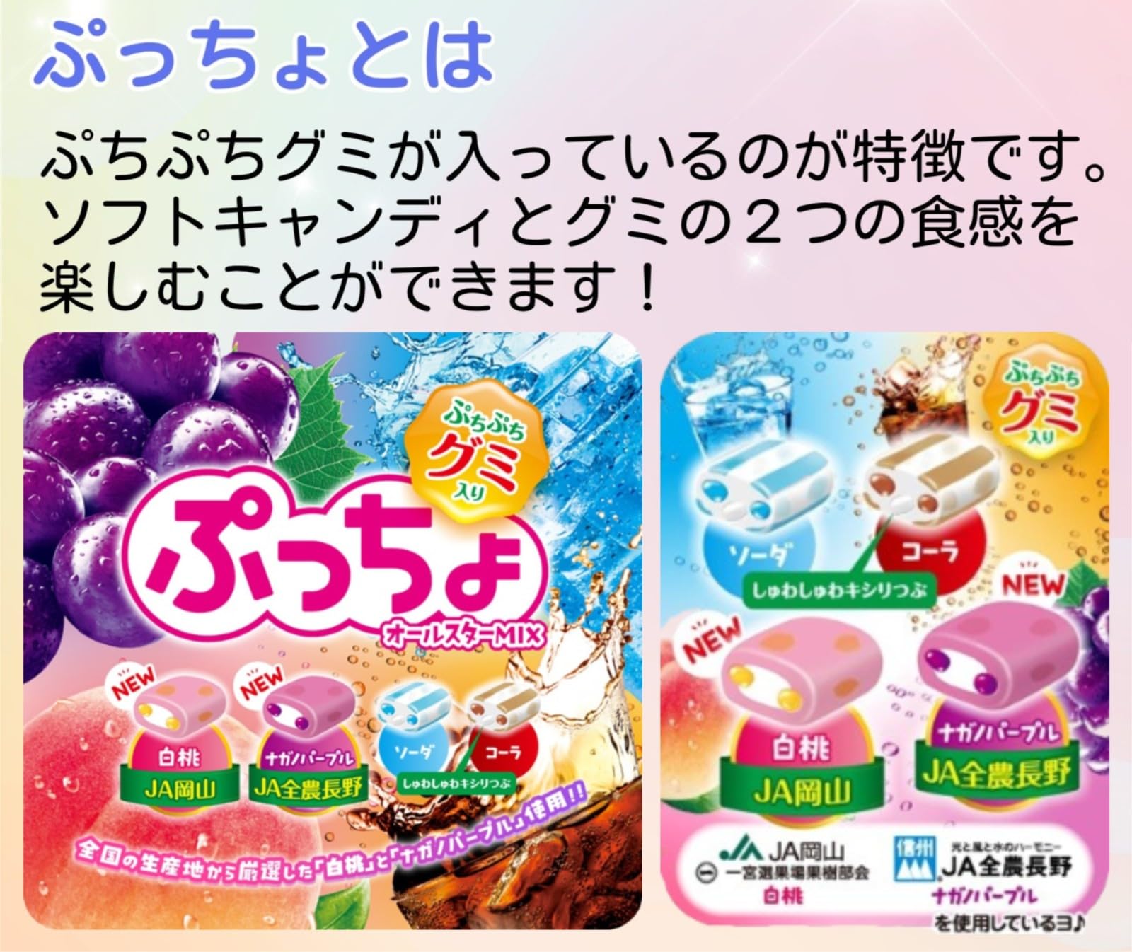 Amazon.co.jp: UHA味覚糖 ぷっちょ 業務用 4種アソート 204袋入 1kg