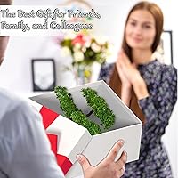 Vista 6 de Frjjthchy. Mini plantas de bonsái artificiales con macetas de cemento de plástico para la decoración del hogar y la oficina (verde)
