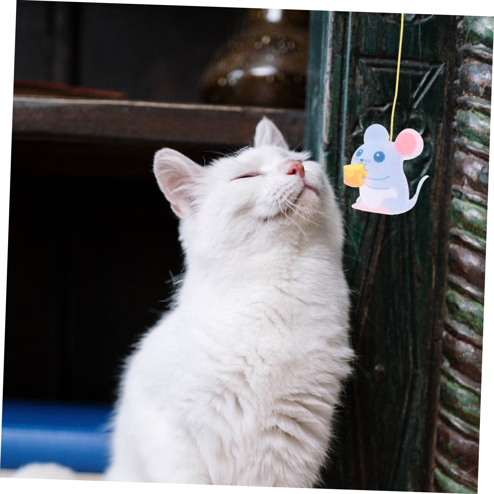 VANZACK 20stücke Katzen-spielzeugset Teiliges Türhängendes Kätzchen Spielzeug Selbstunterhaltungs-Rope Teaser Für Katzen Interaktives Katzenspielzeug Neugier Und Bewegung Sicher Und