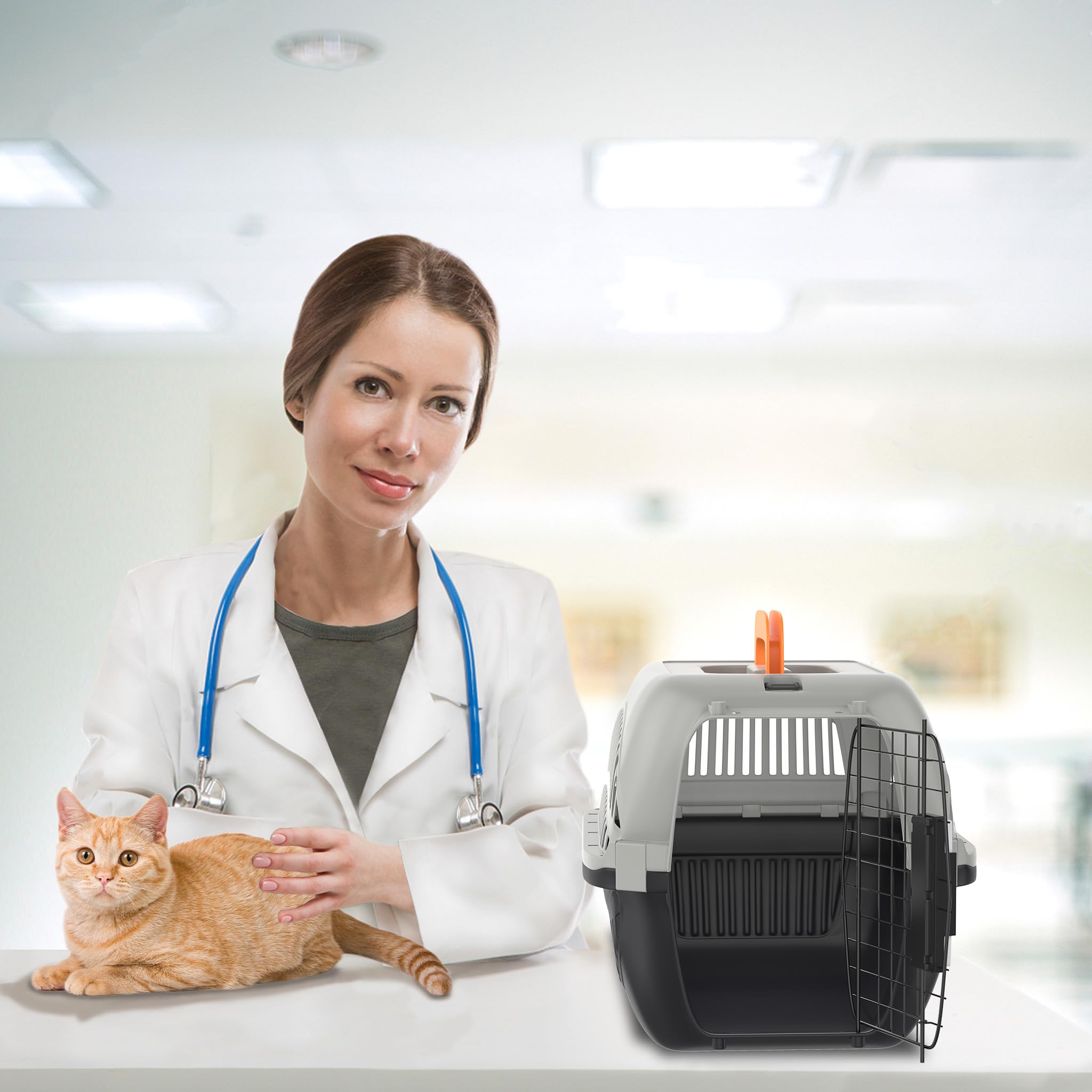Aufun Hundetransportbox aus Kunststoff mit Metallgitter 48 x 32 x 32cm, Transportbox für kleine Hunde und Katzen, Transport-Box für Tiere mit praktischem Schließsystem & Tragegriff, Grau+Schwarz