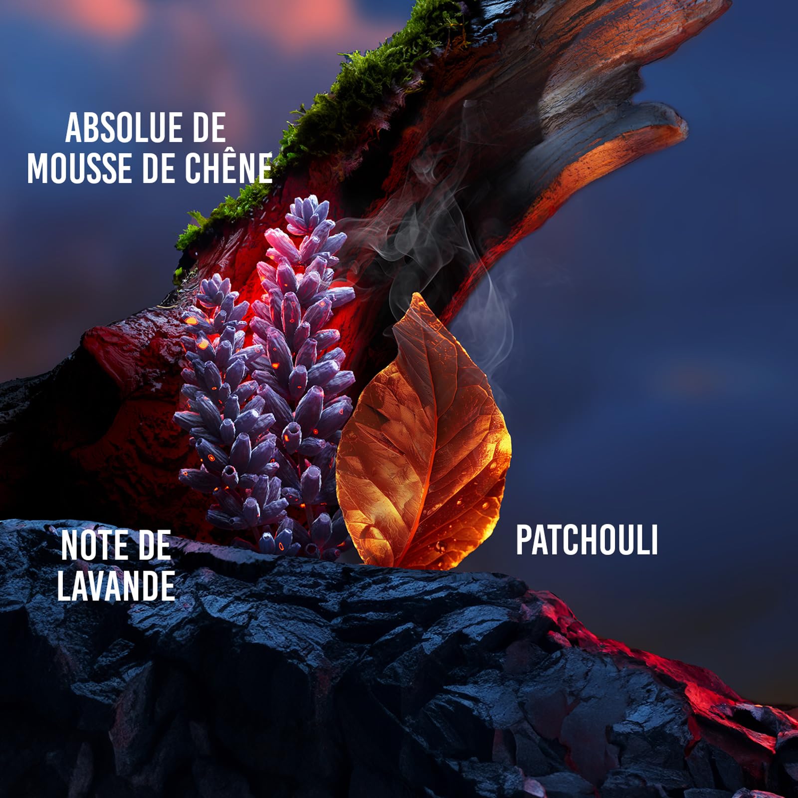 Drakkar Noir de Guy Laroche - Eau de Toilette Sensuel & Intrépide - Boisé et Aromatique, Notes de Mousse de Chêne, Patchouli et Sapin Baumier - Parfum pour Homme - 30 ml