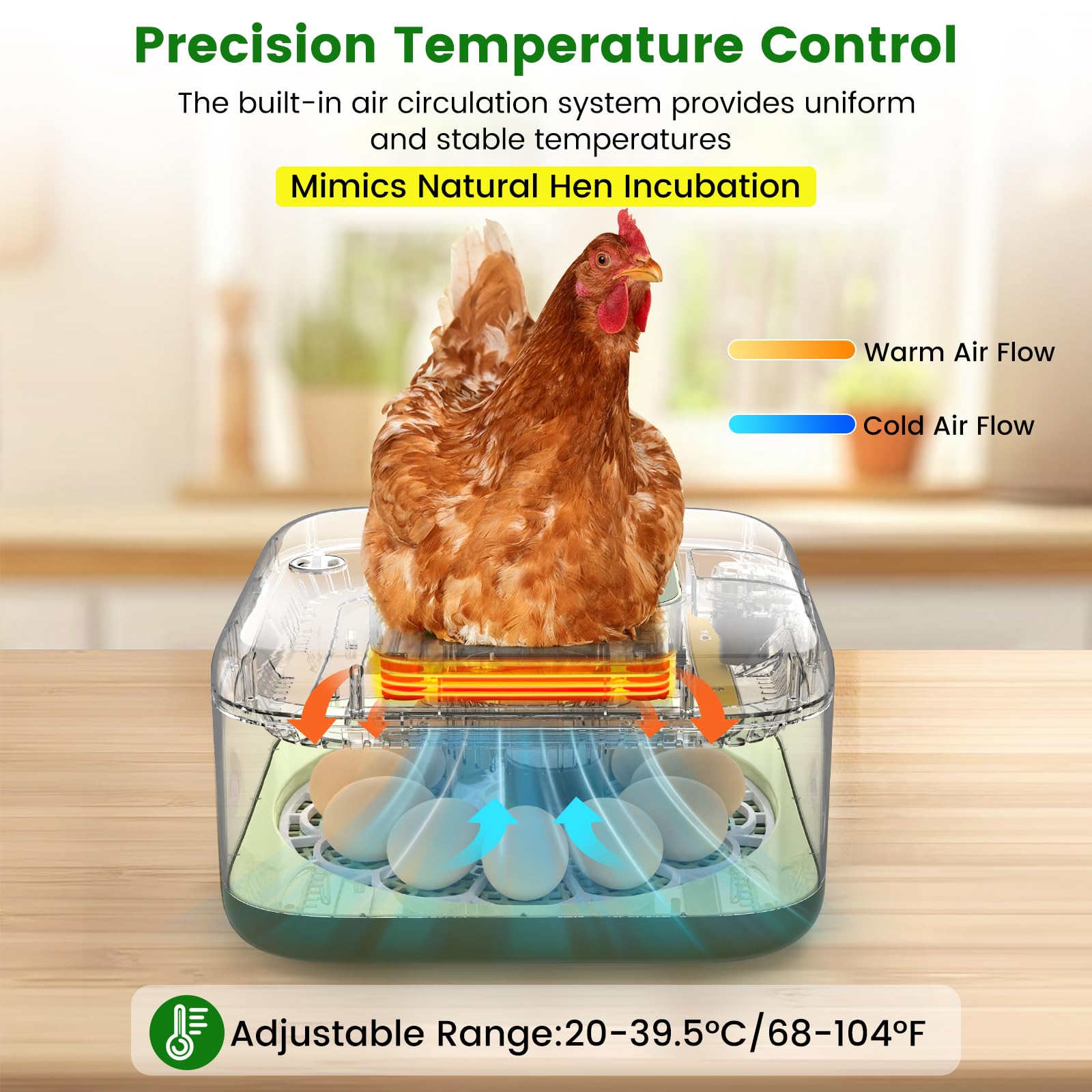 Incubatrice per 12 uova con rotazione automatica, ricarica automatica dell'acqua e controllo della temperatura/umidità, più guida per la schiusa, per pollo, anatra, quaglia, uova di piccione e altro