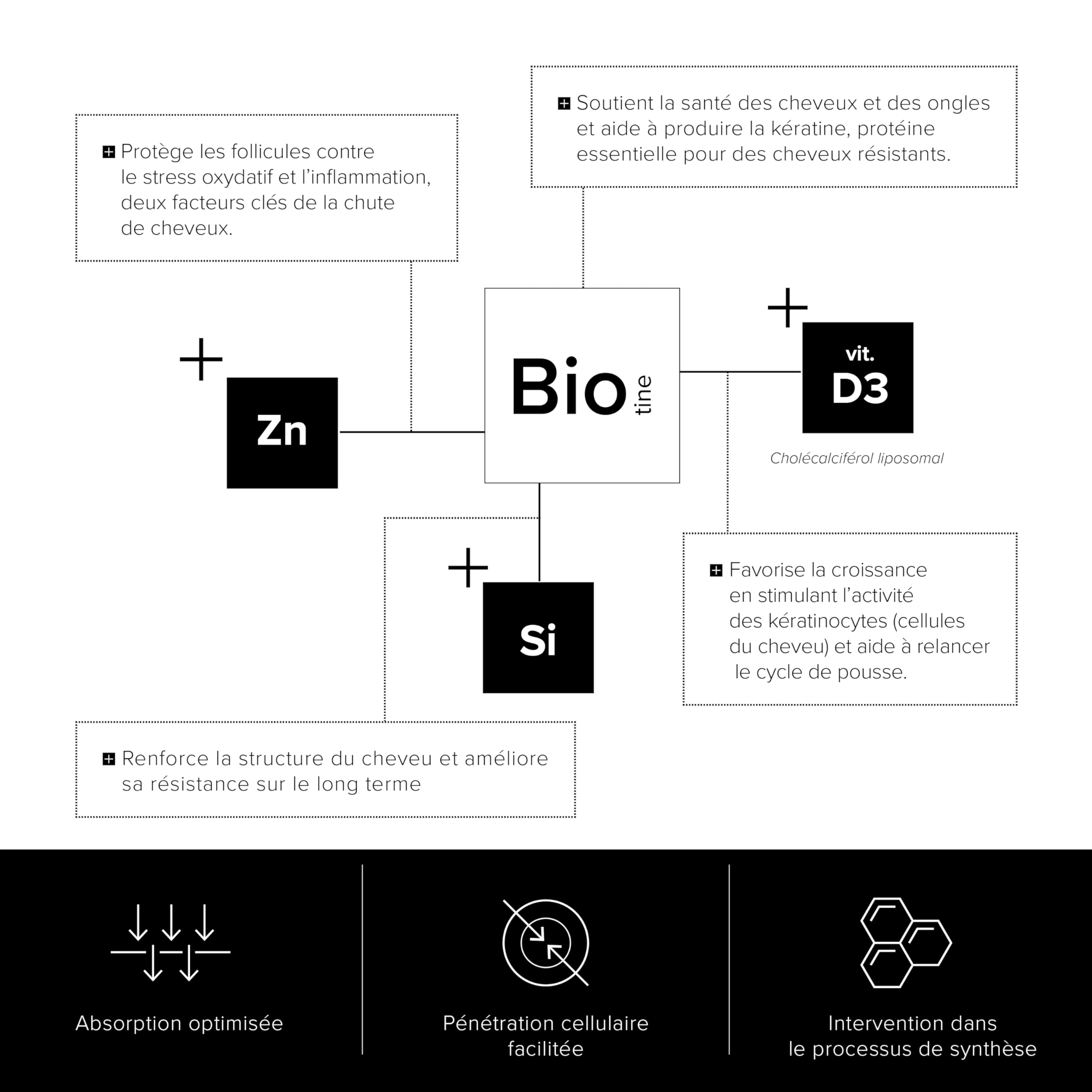 A-LAB Biotine Liposomale 10 000 µg - Pousse Cheveux & Ongles - Avec Zinc, Silice, Vitamine D3 - Assimilation Renforcée - 45 Jours