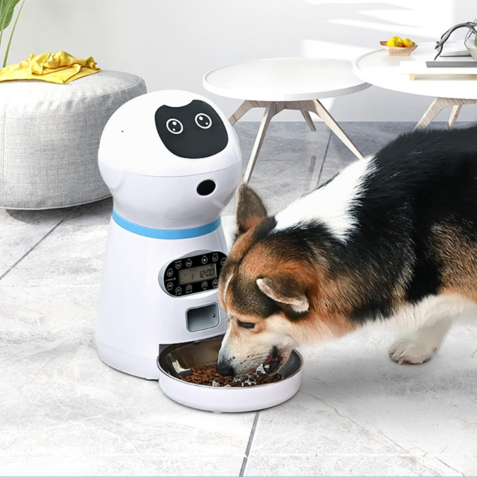 Baoblaze Distributore Automatico per Animali Dispenser Cibo Gatti Cani Alimentatore Programmabile Mangime Temporizzato con Messaggio Vocale Personalizzato