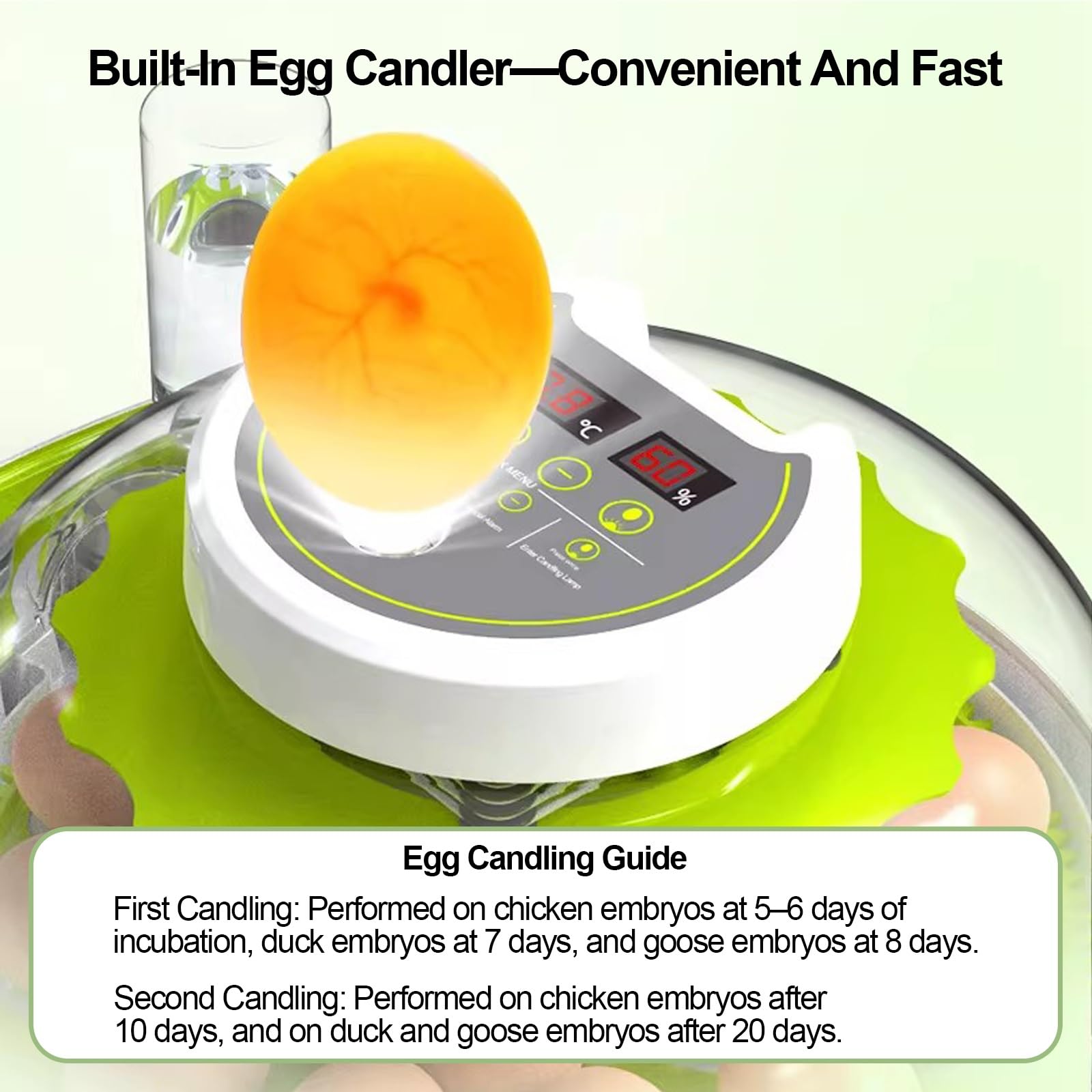 Incubadora de Huevos con Volteo Automático, Control de Humedad, Sistema de Recarga de Agua y Ovoscopio; Apta para Huevos de Gallina, Pato, Ganso, Codorniz y Paloma(12 Eggs)