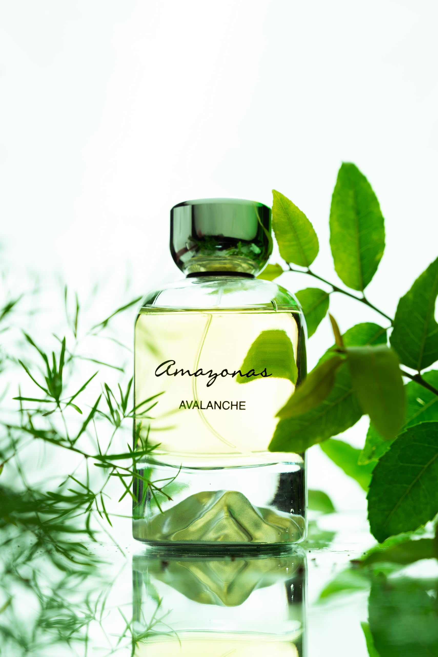 Atralia Amazonas Avalanche Eau De Parfum 100ML : Amazon.ae: Beauty