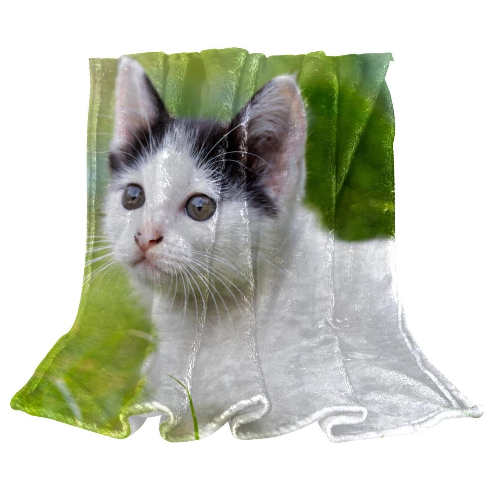 Couverture polaire petit chat microfibre chaude jeté de canapé lit plaid 150x100
