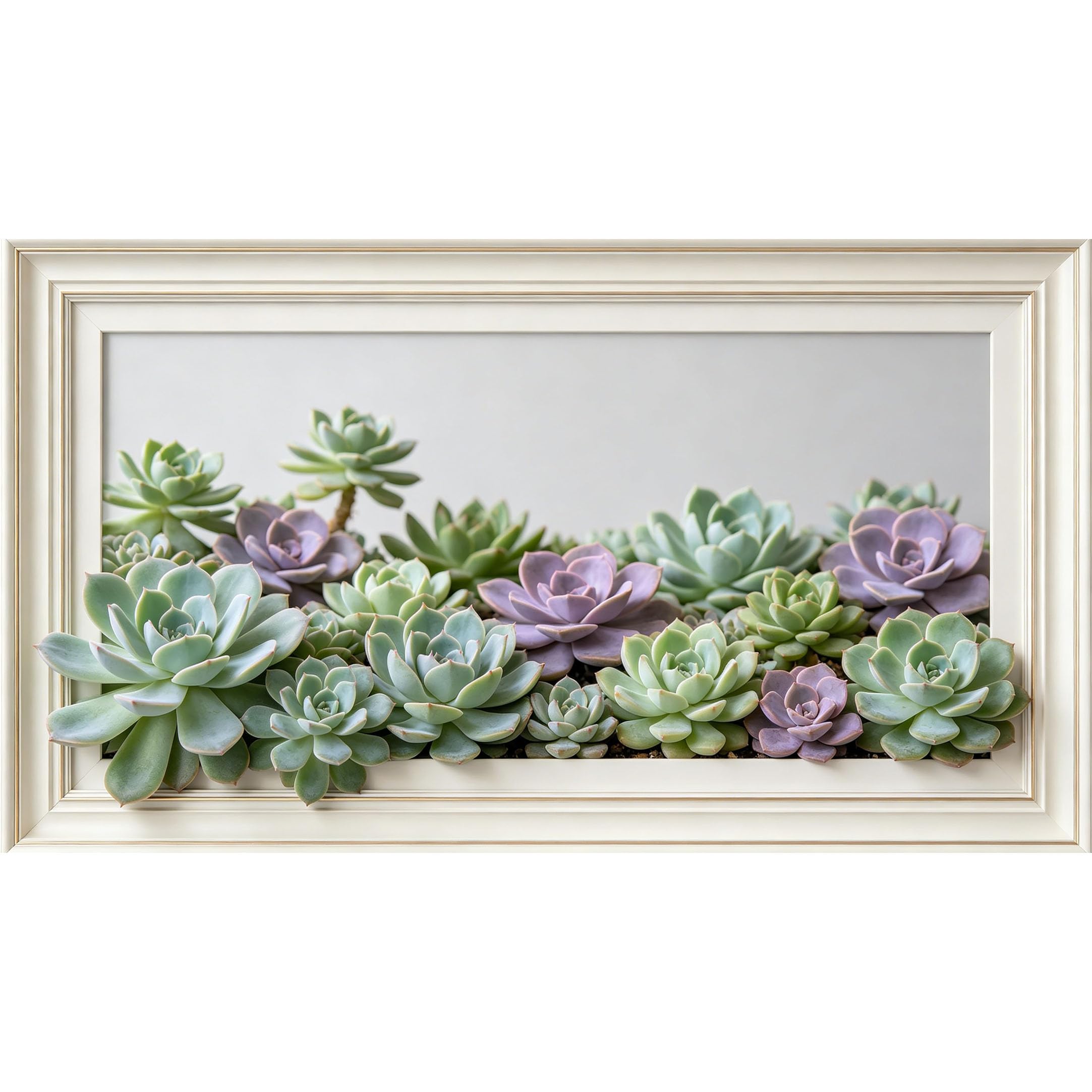 QZLITHOTIC 50x90cm3D Framed Wall Art， Botanical Succulent Garden Self‑Adhesive Mural， Water‑Activated Peel & Stick Fabric Decor Wall Decal for Bedroom Living Room