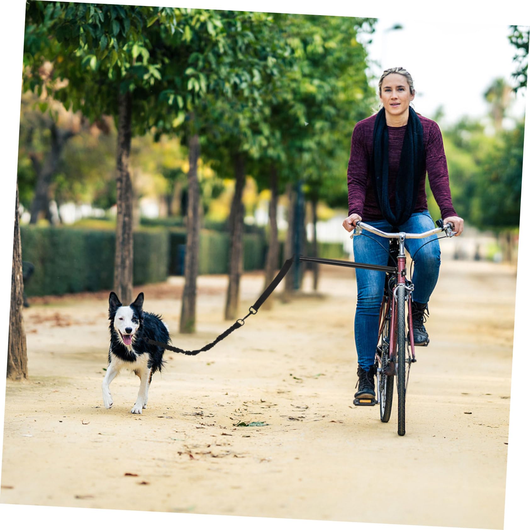 BESPORTBLE Guinzaglio Regolabile Per Cani Da Bicicletta Resistente Allo Strappo Corda Di Trazione Antinodo Per Passeggiate All’aperto e Addestramento Animali Domestici