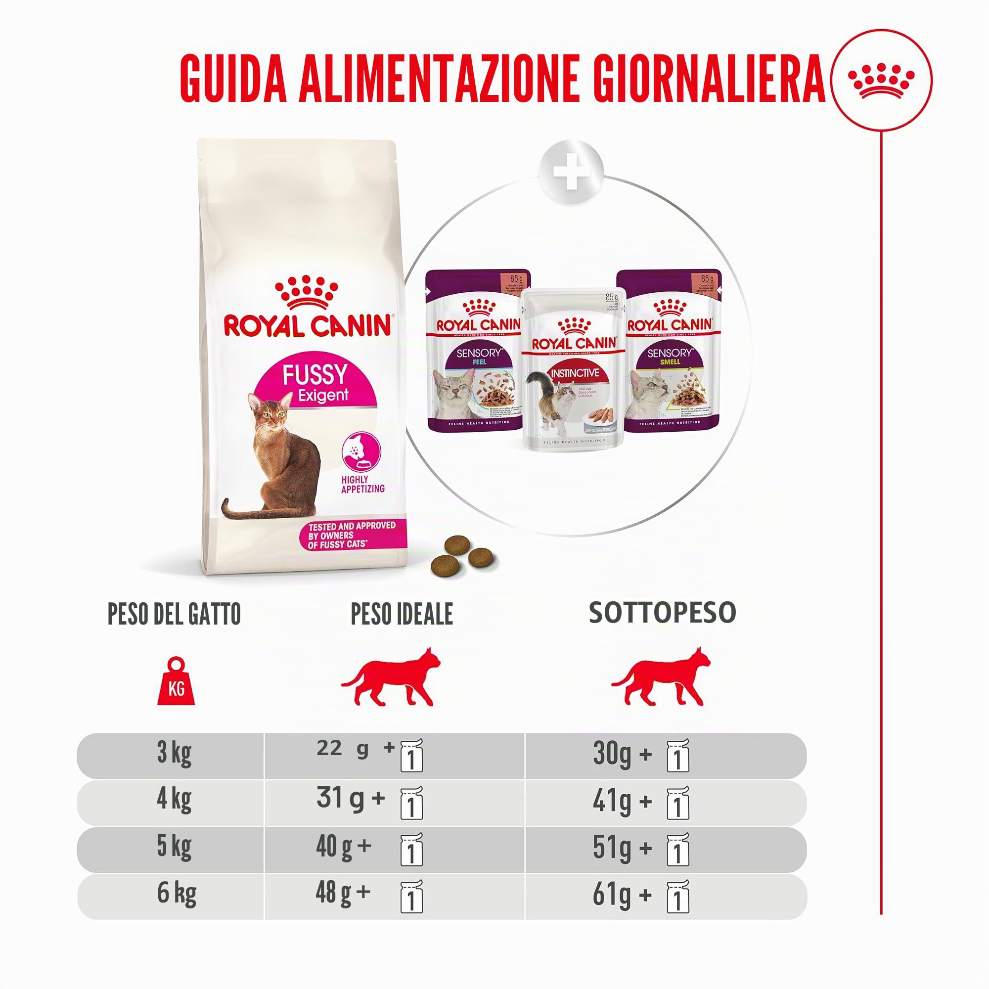 Royal Canin Fussy Exigent | 4 kg | Alimento completo per gatti adulti esigenti | Combinazione di aromi e forma speciale delle crocchette | Ricco di proteine