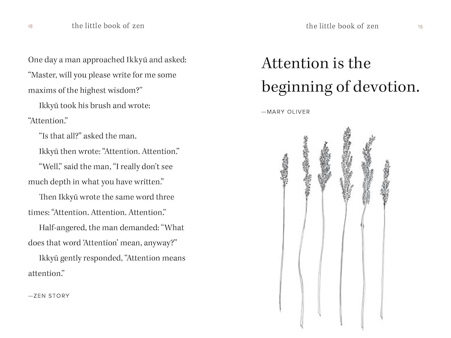 Amazon.com: The Little Book of Zen: Sayings, Parables