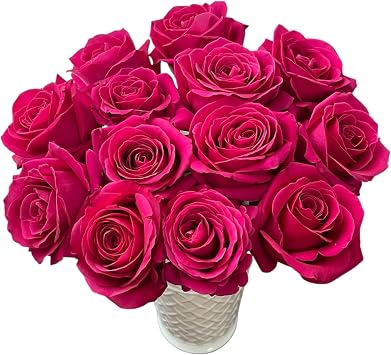 24 Fresh Cut Pink Floyd Roses With Rich Fragrance and Large Flowers suitable for hydroponic Flower Arrangements birthday Gifts Love Confessions wedding Anniversaries